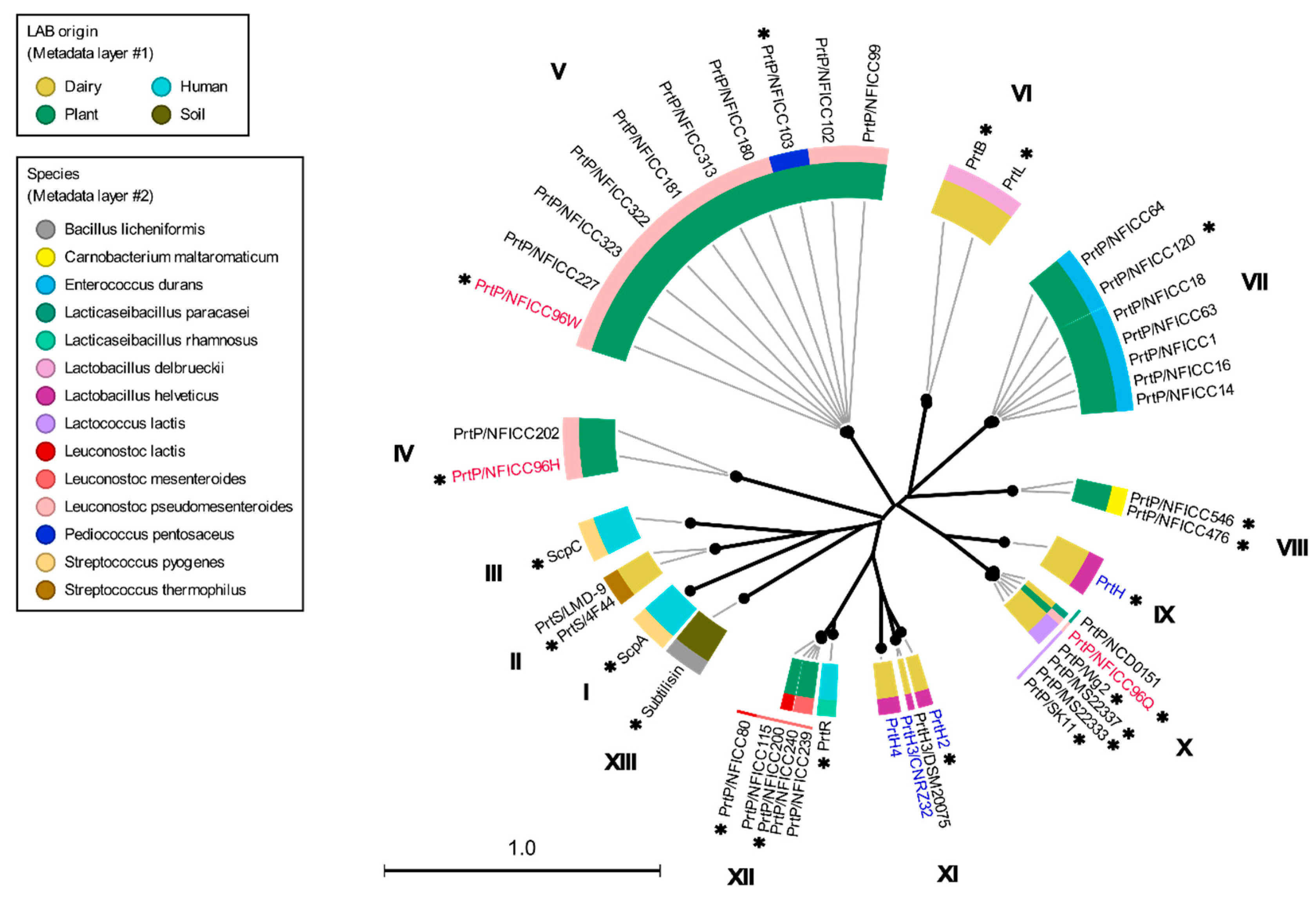 Preprints 81203 g001