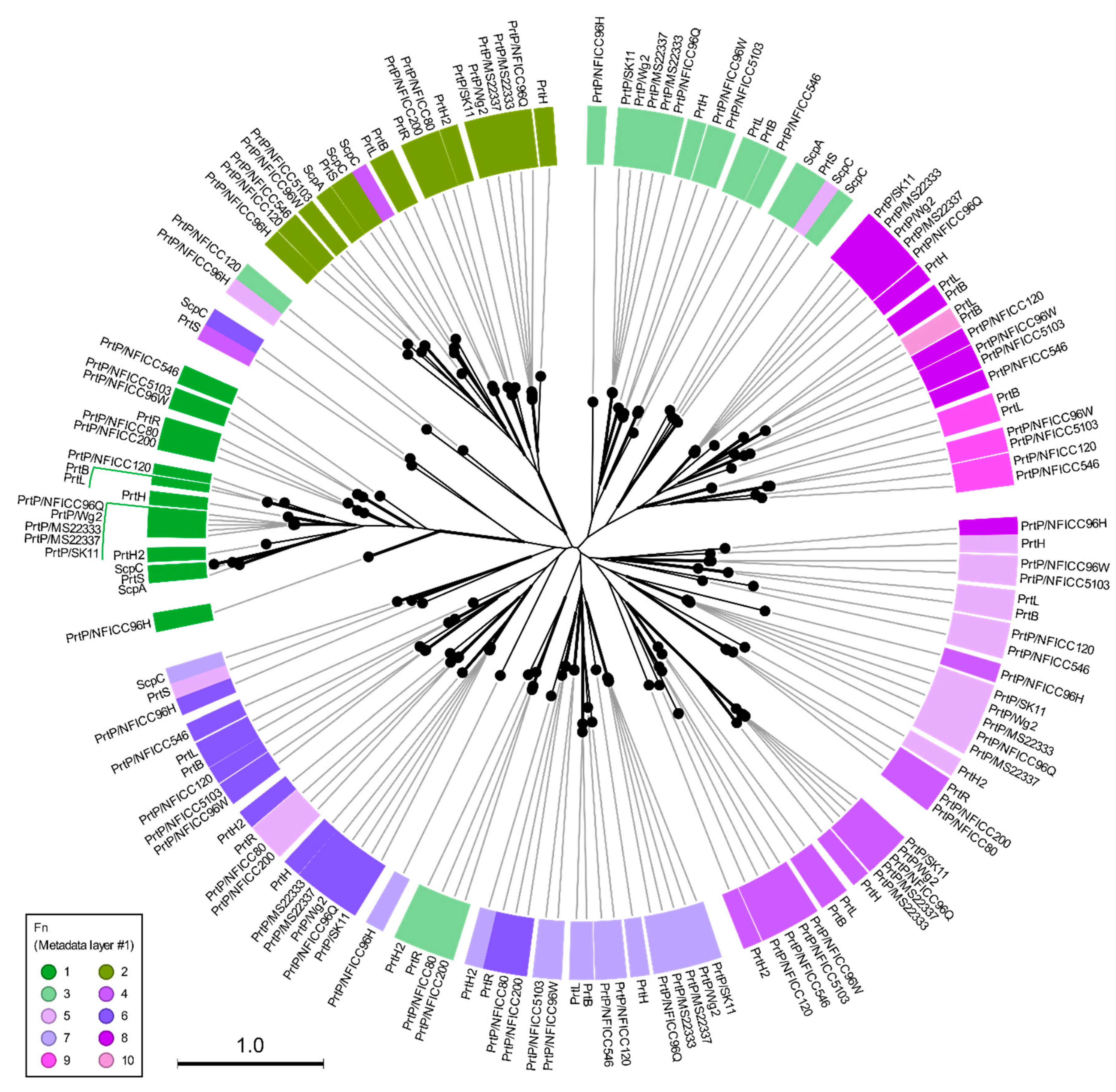 Preprints 81203 g005