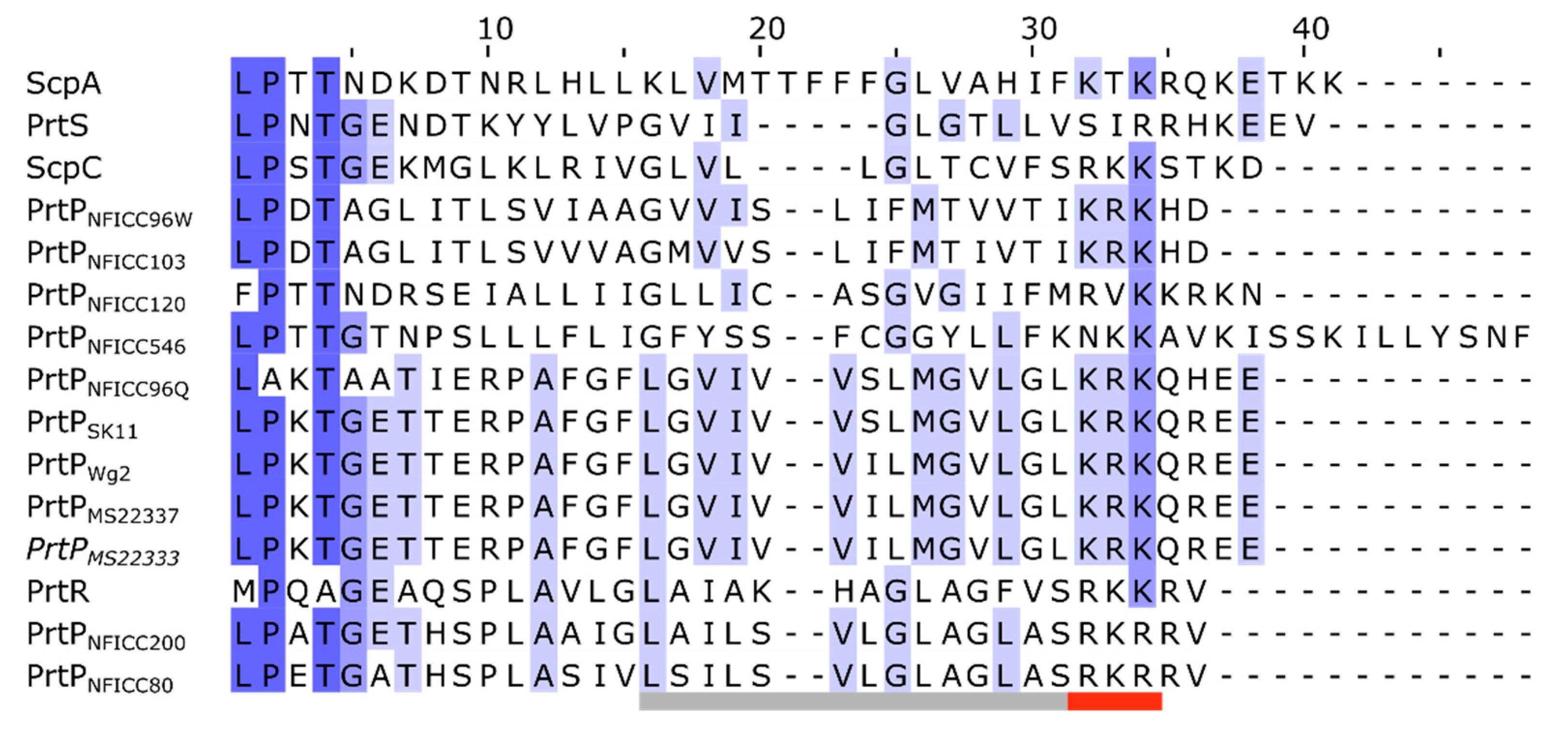 Preprints 81203 g008