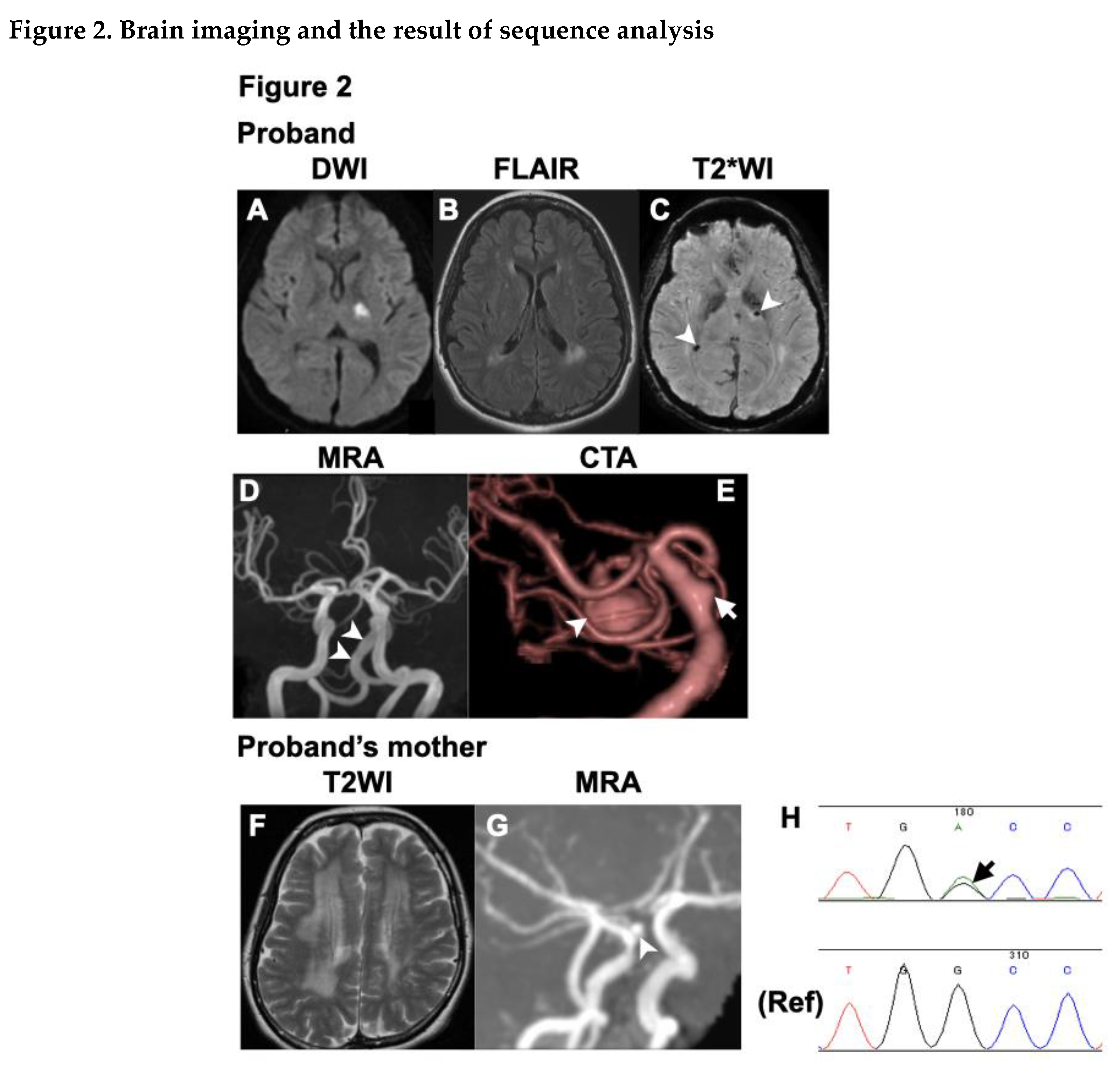 Preprints 93521 g002