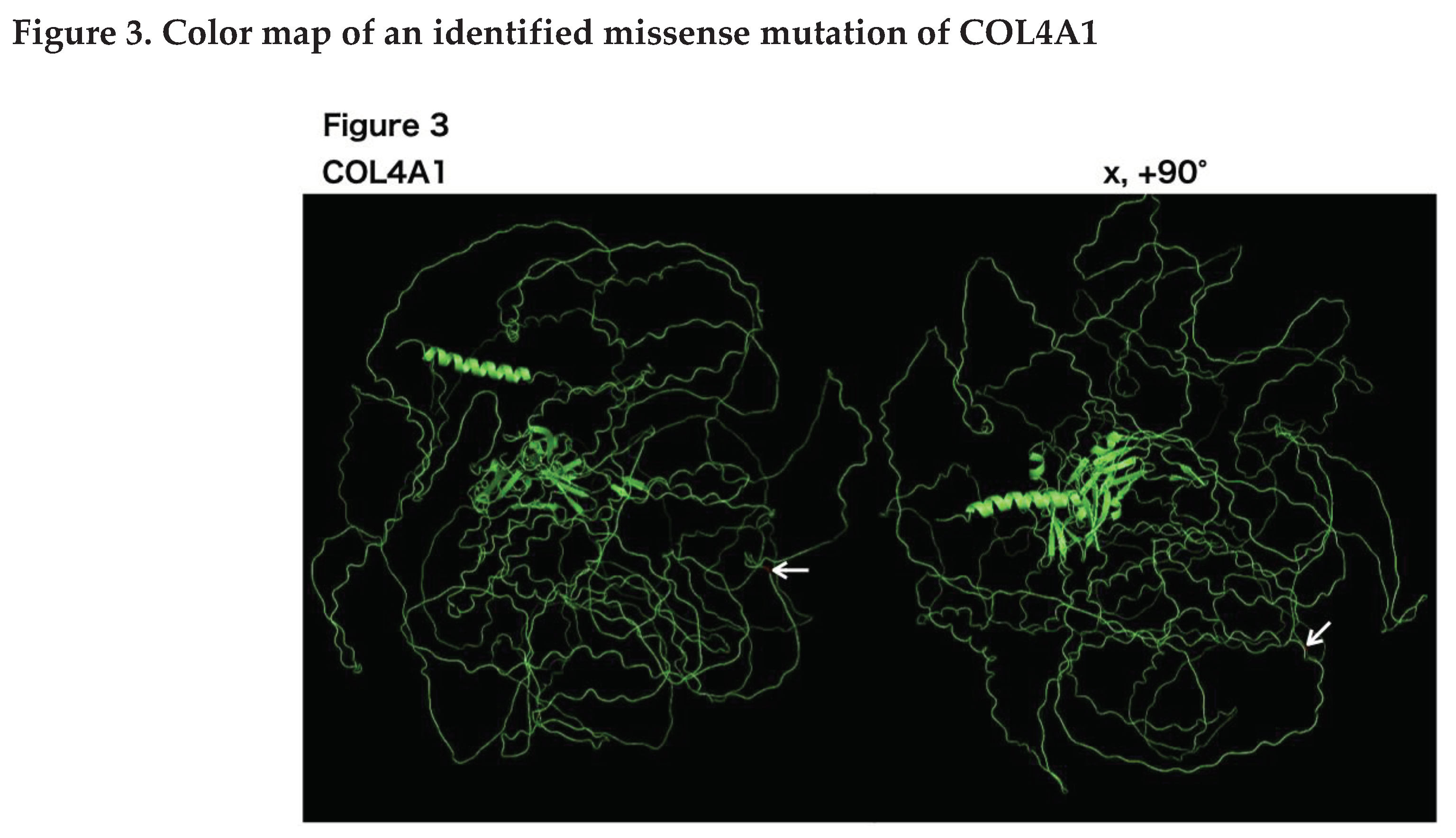 Preprints 93521 g003