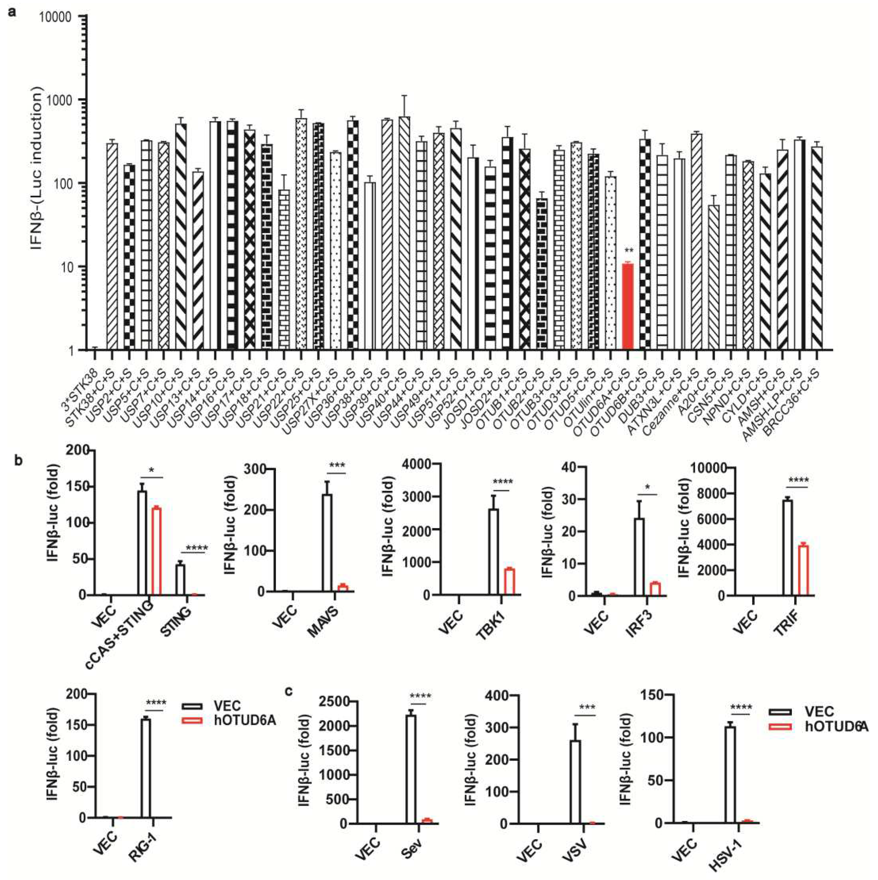 Preprints 77695 g001