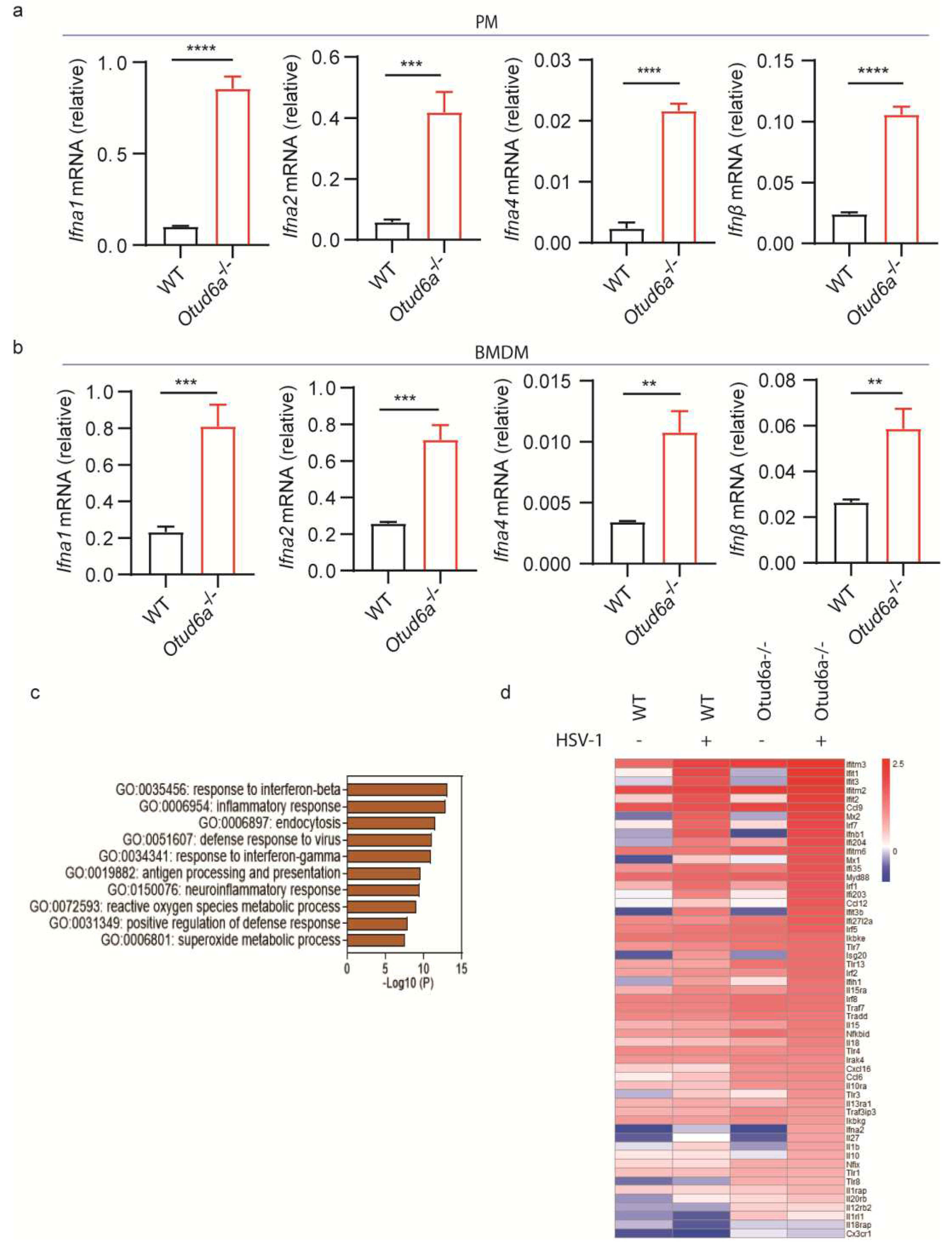 Preprints 77695 g002