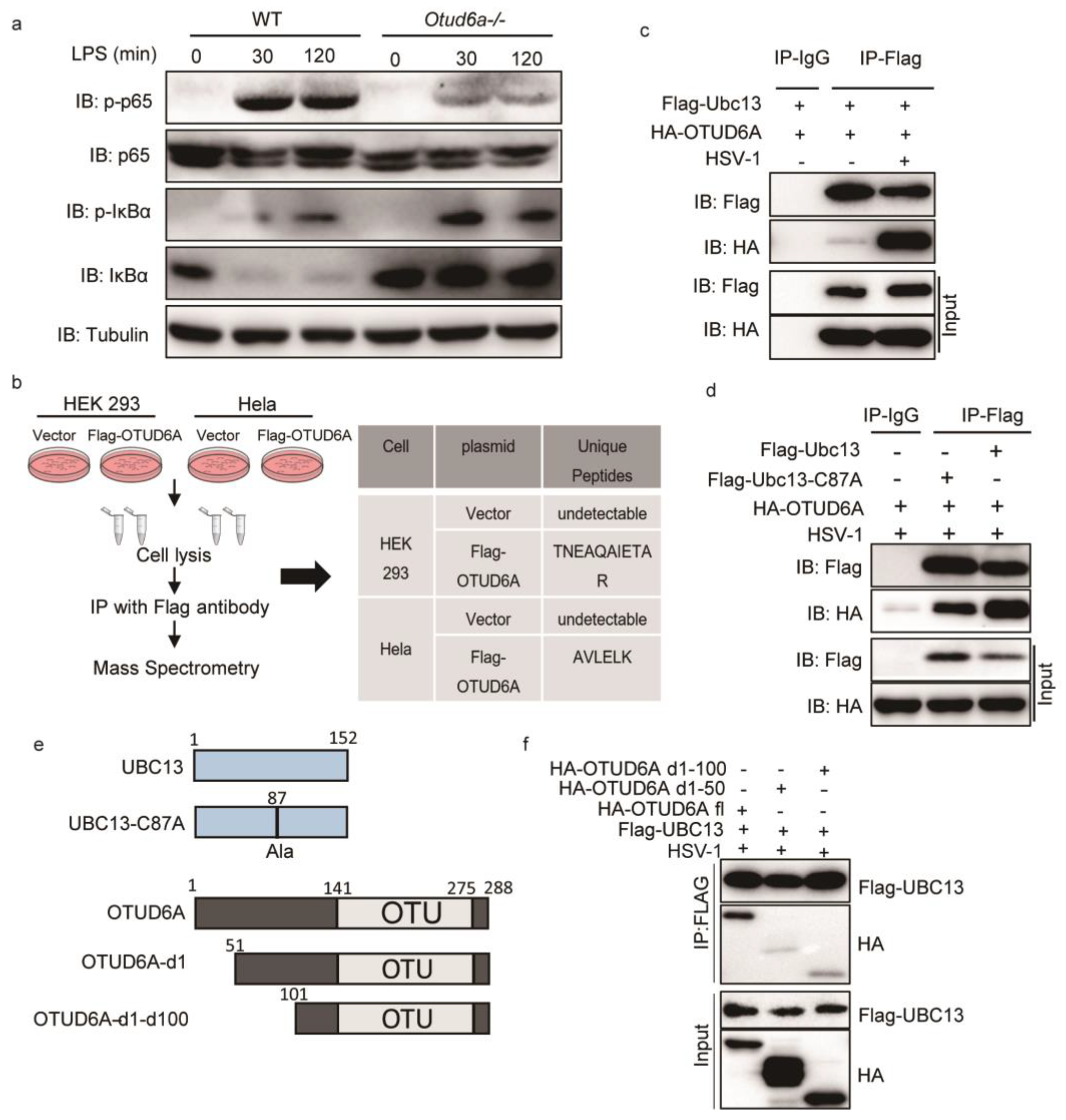 Preprints 77695 g005