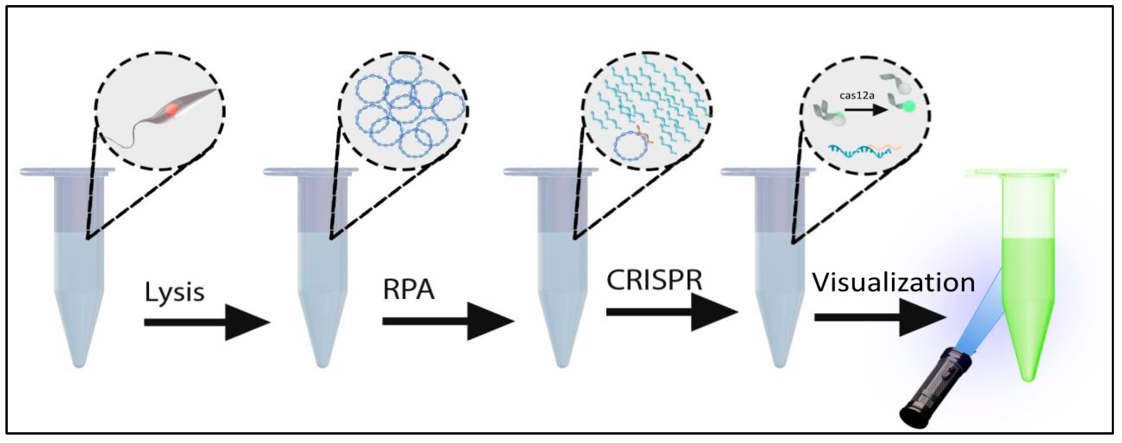 Preprints 137425 g001