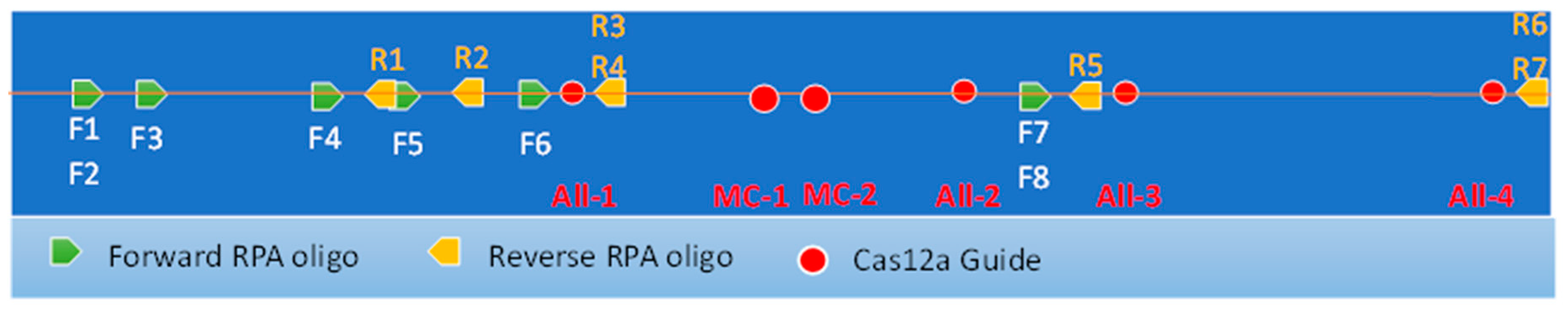 Preprints 137425 g003