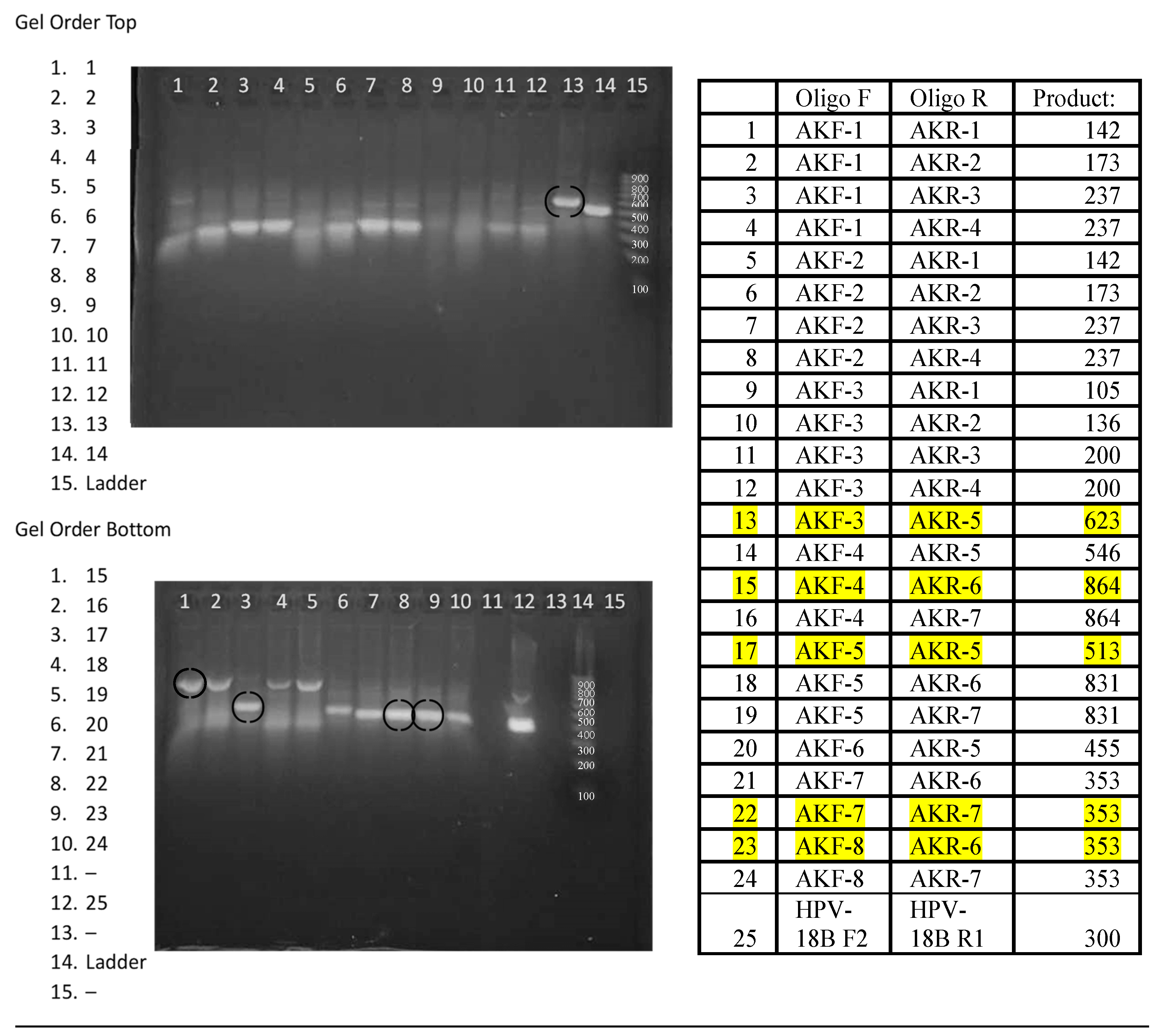 Preprints 137425 g004