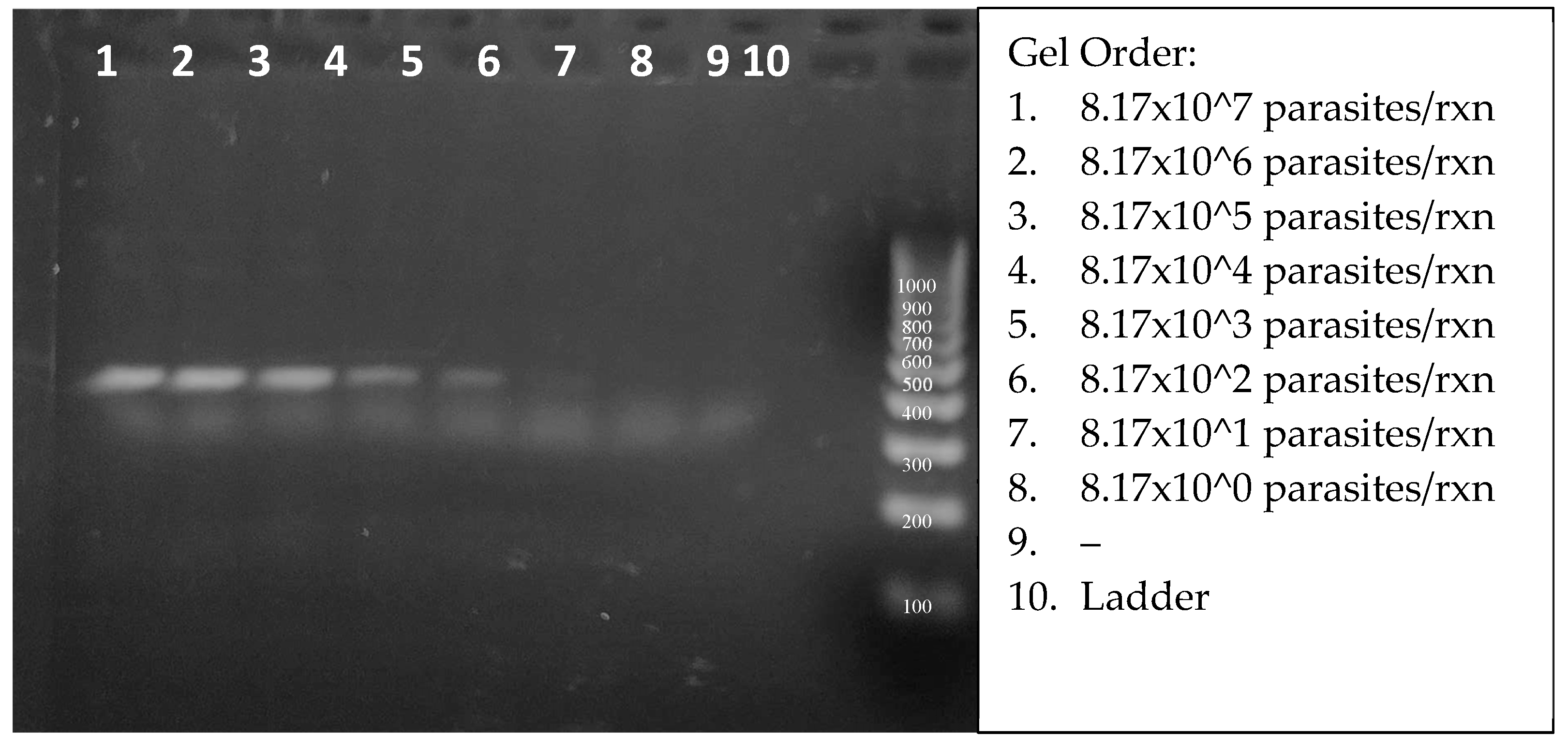 Preprints 137425 g007