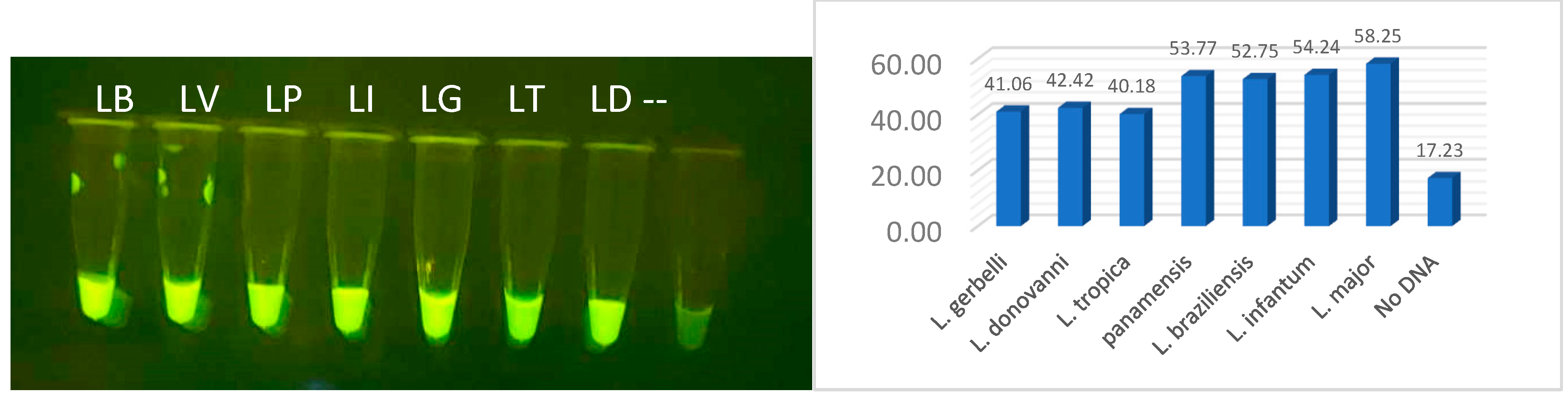 Preprints 137425 g009