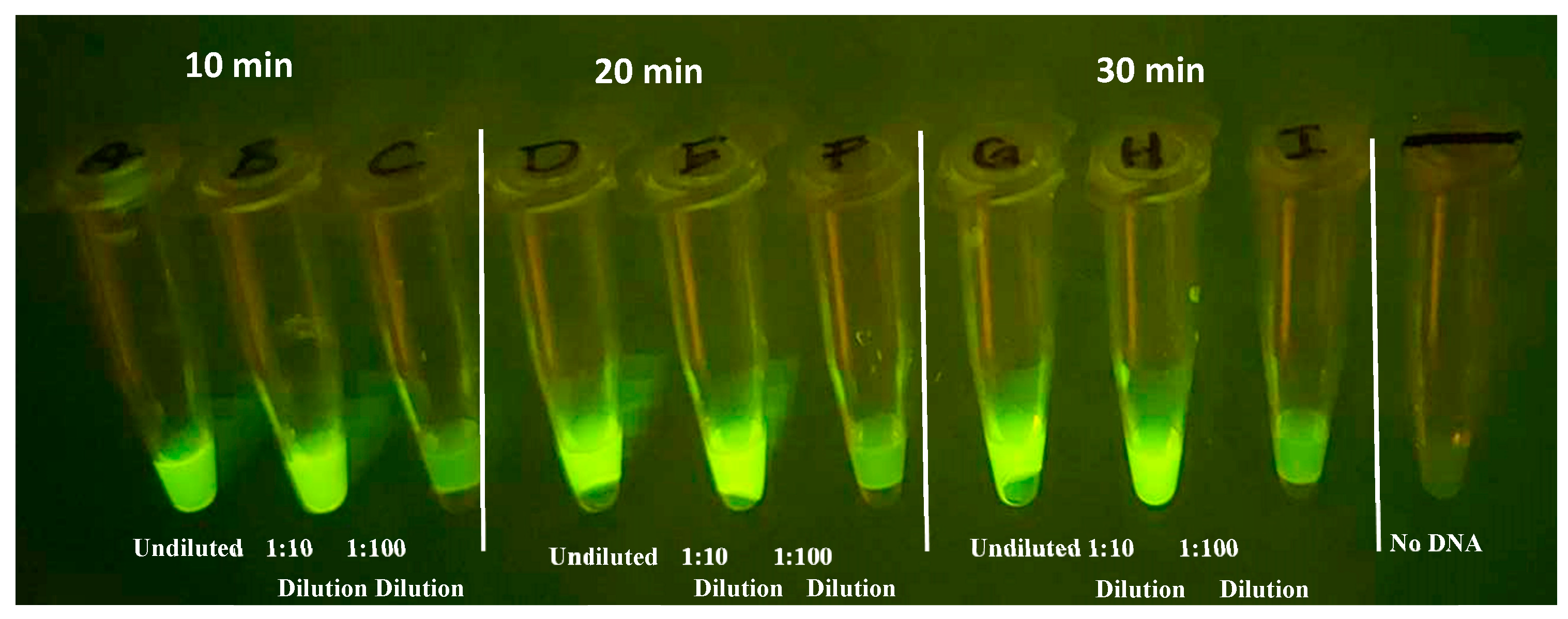 Preprints 137425 g011