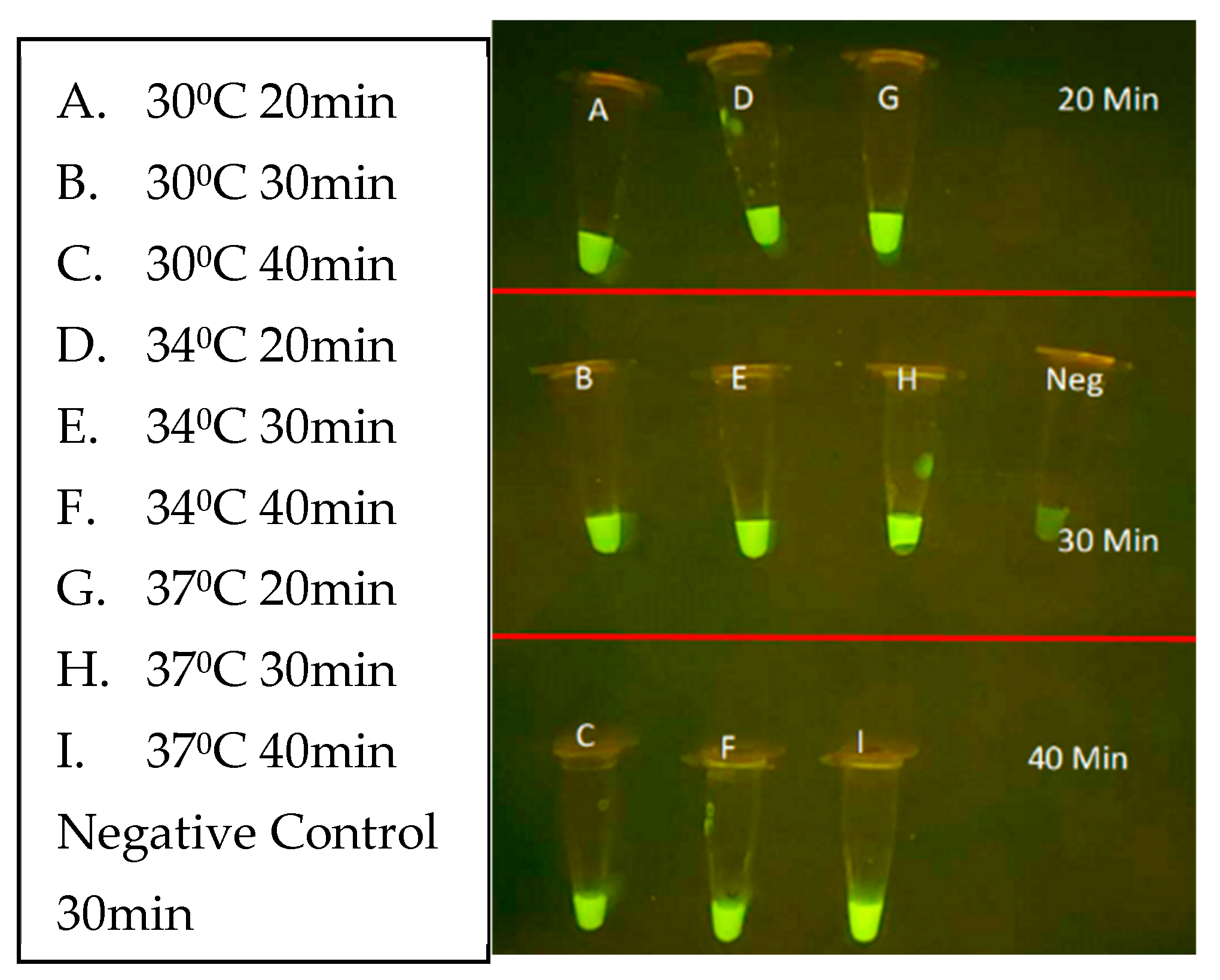 Preprints 137425 g013