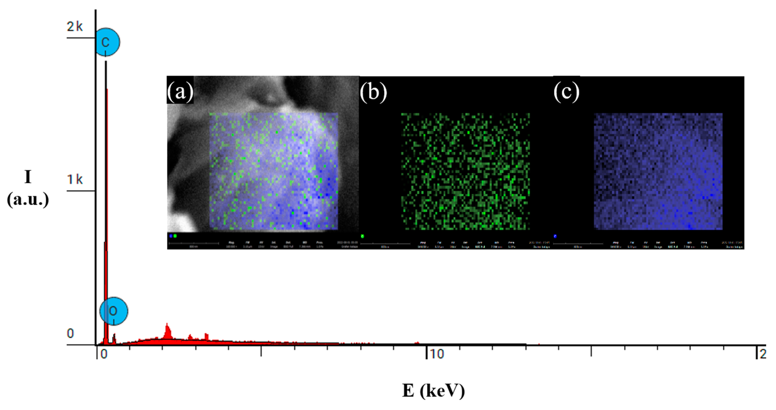 Preprints 114153 g005