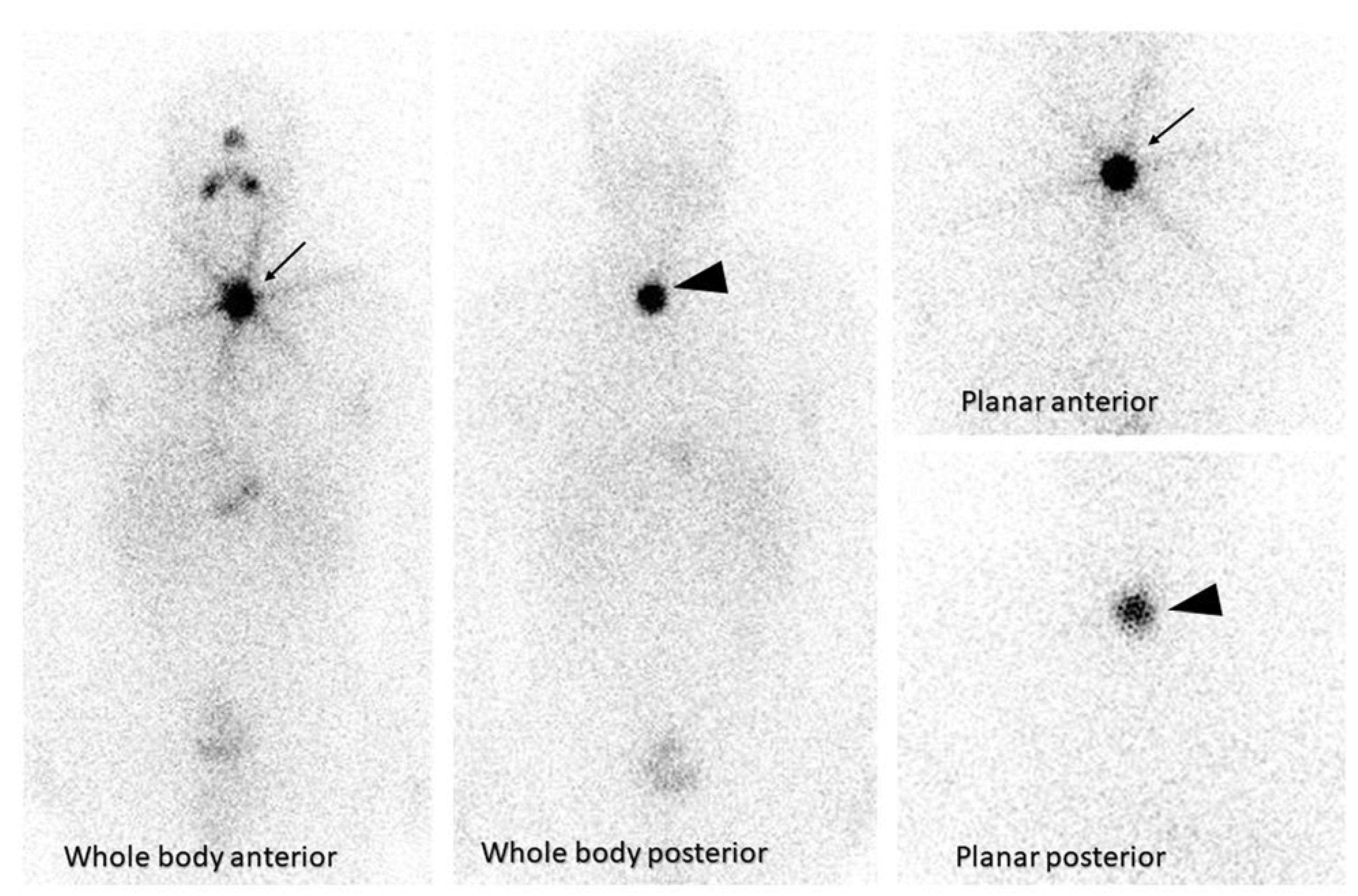 Preprints 84817 g002