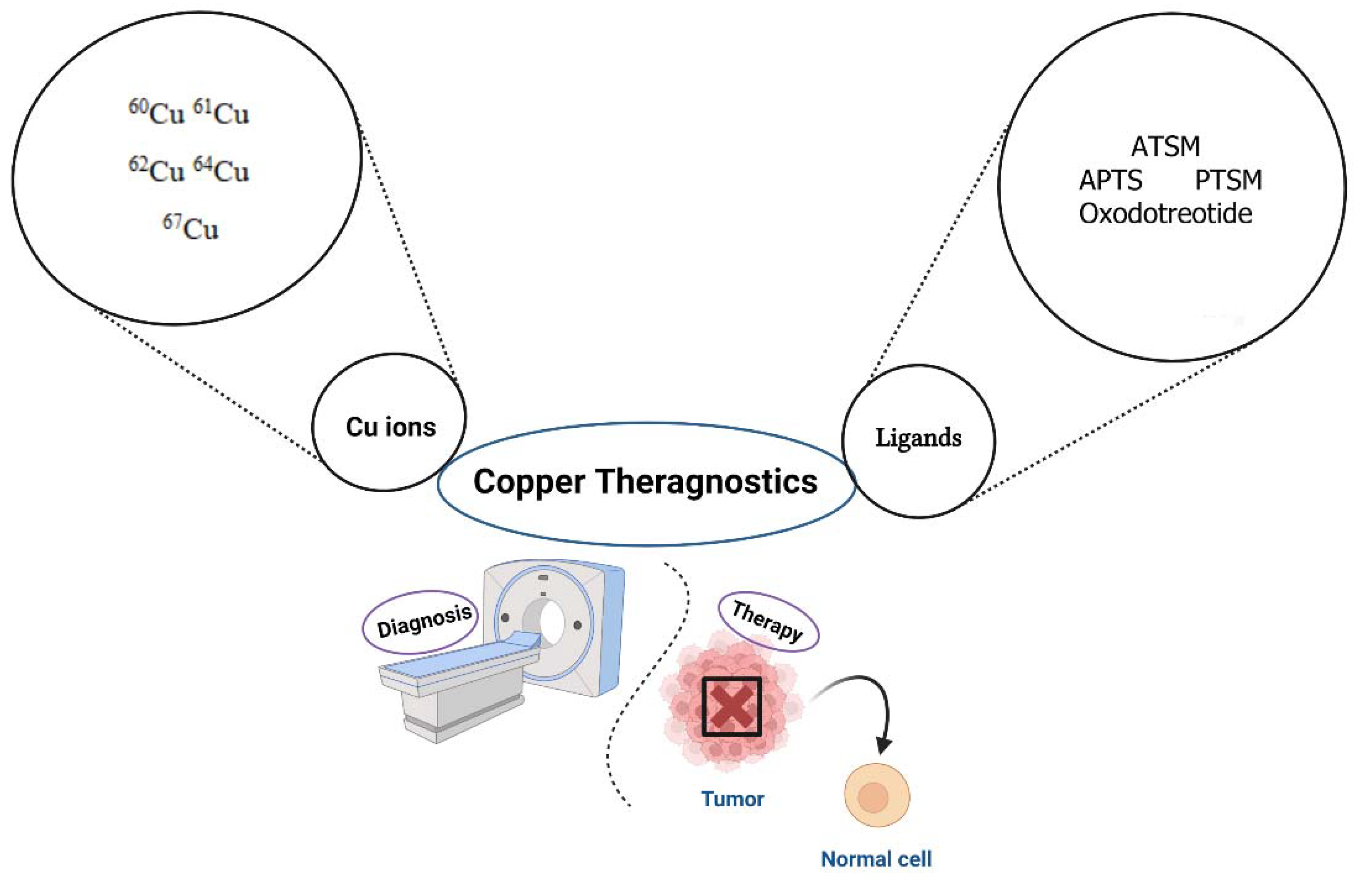 Preprints 84817 g004