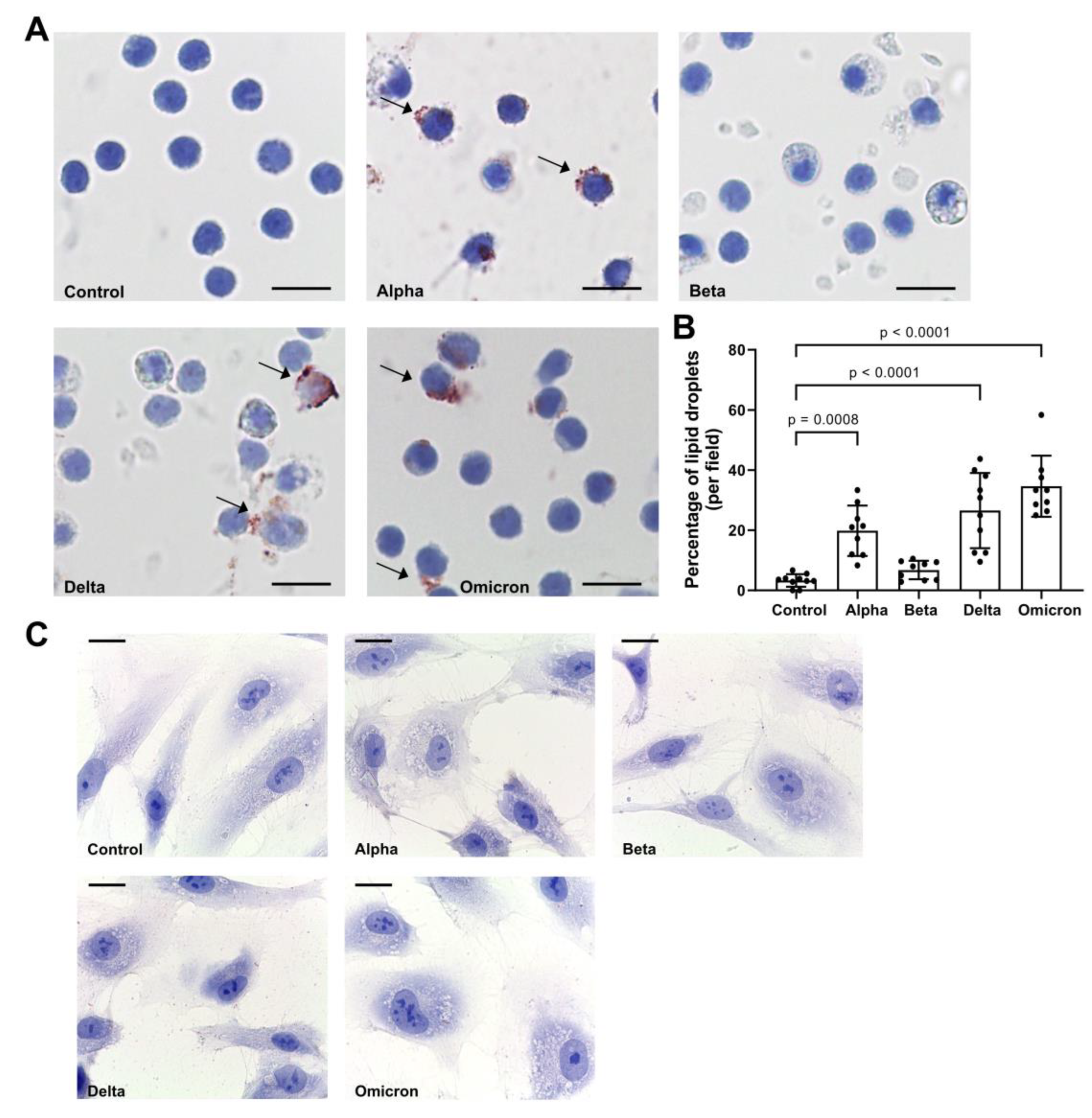 Preprints 80287 g002