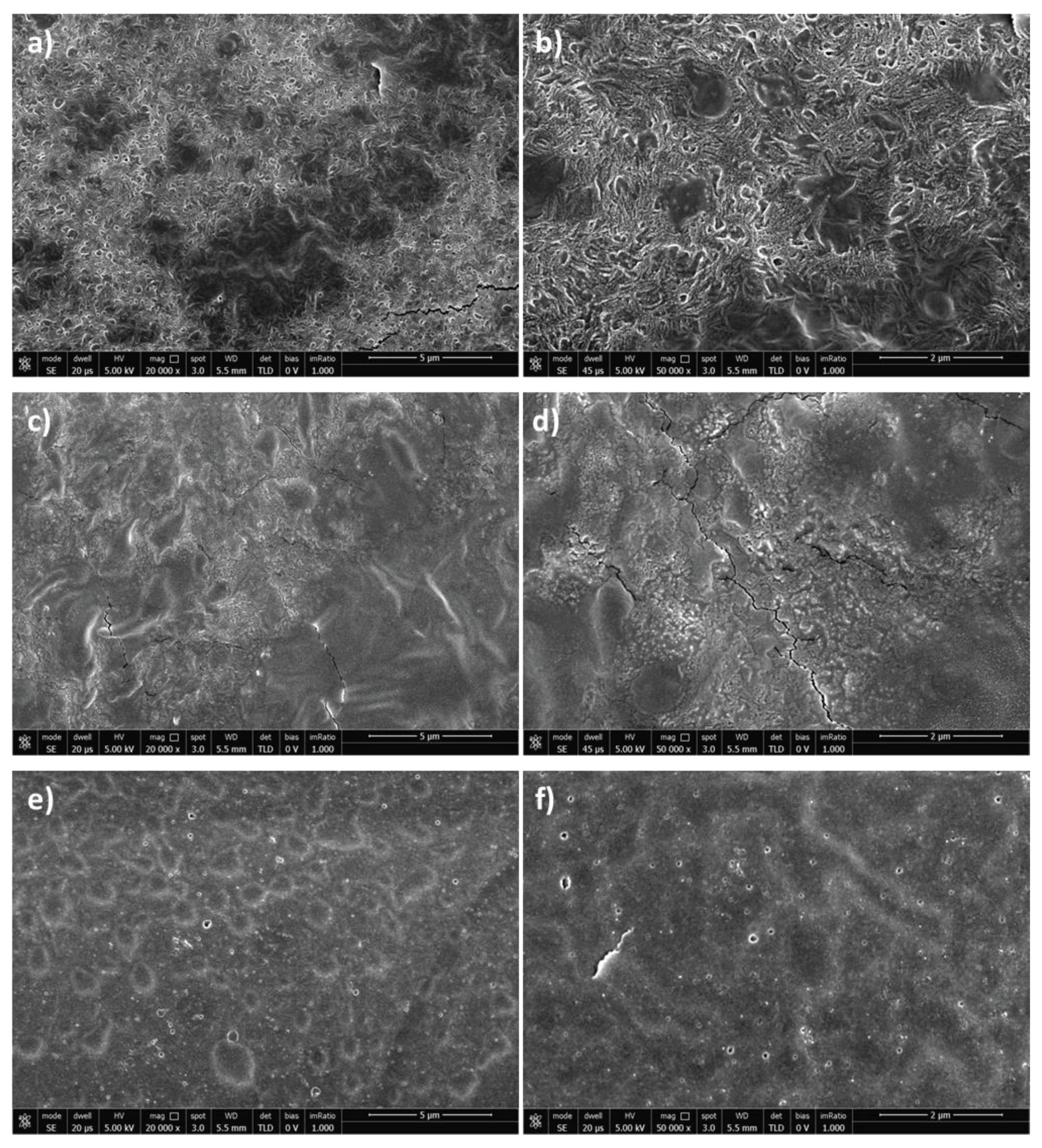 Preprints 100931 g010