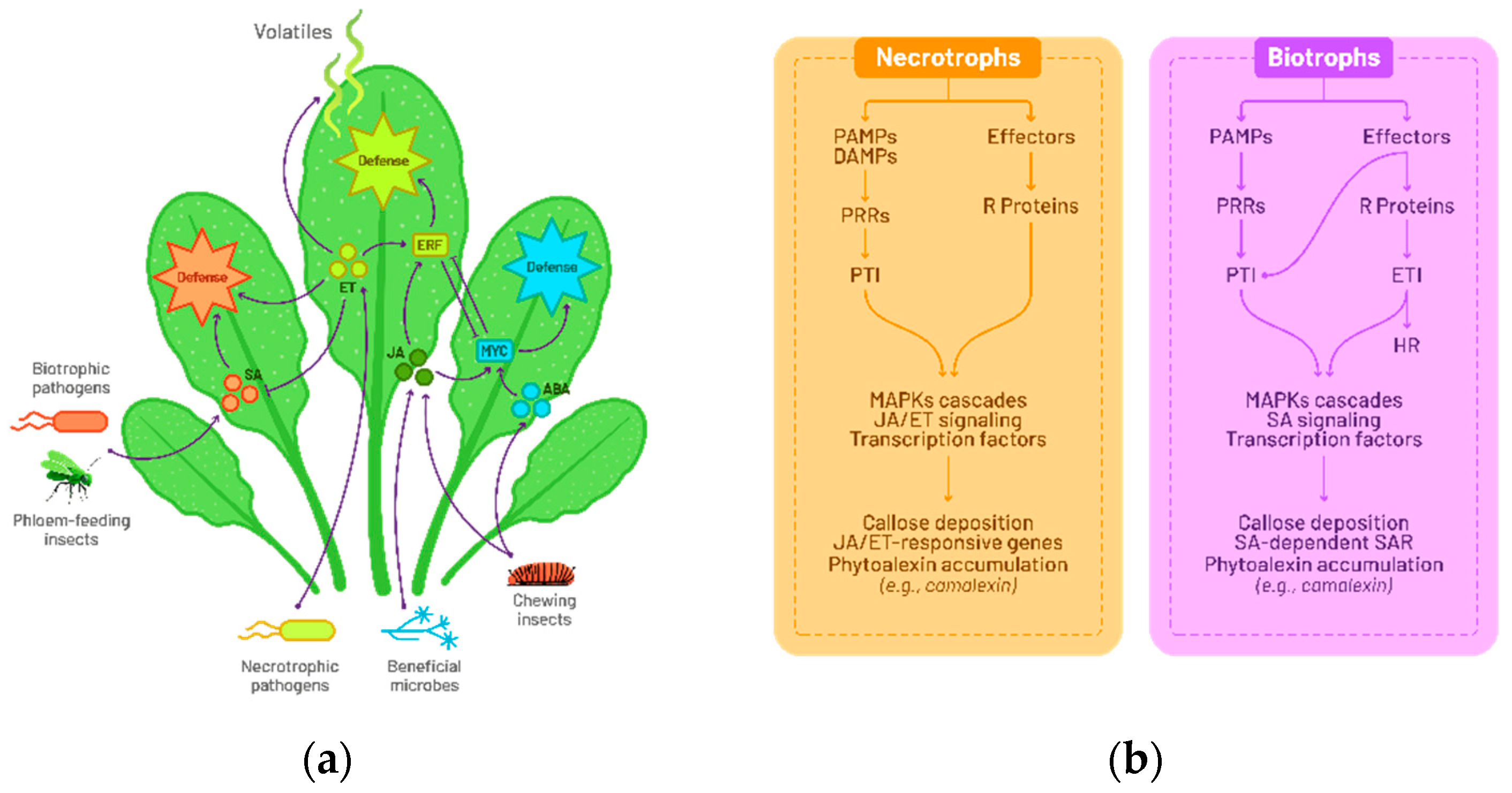 Preprints 95238 g001