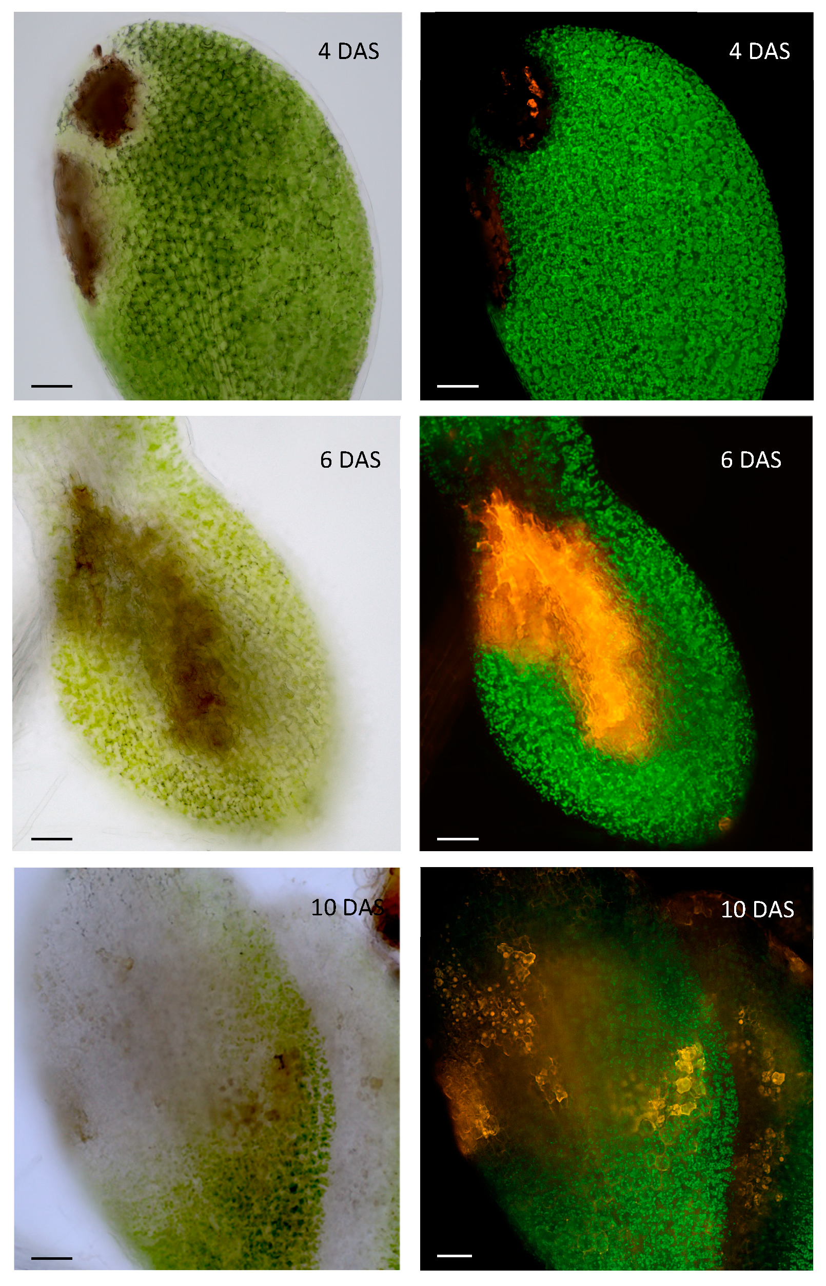 Preprints 95238 g003