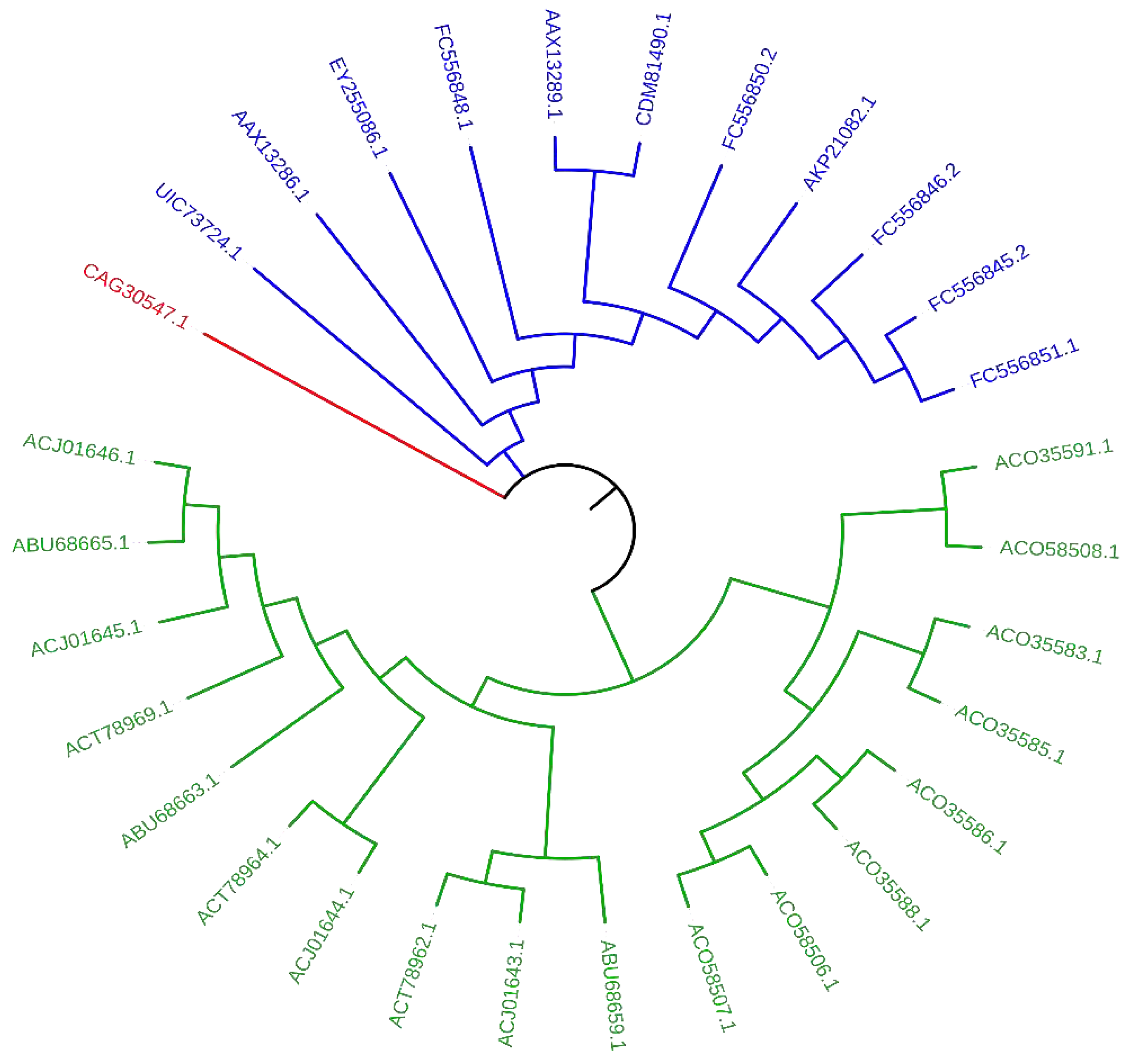 Preprints 82552 g005