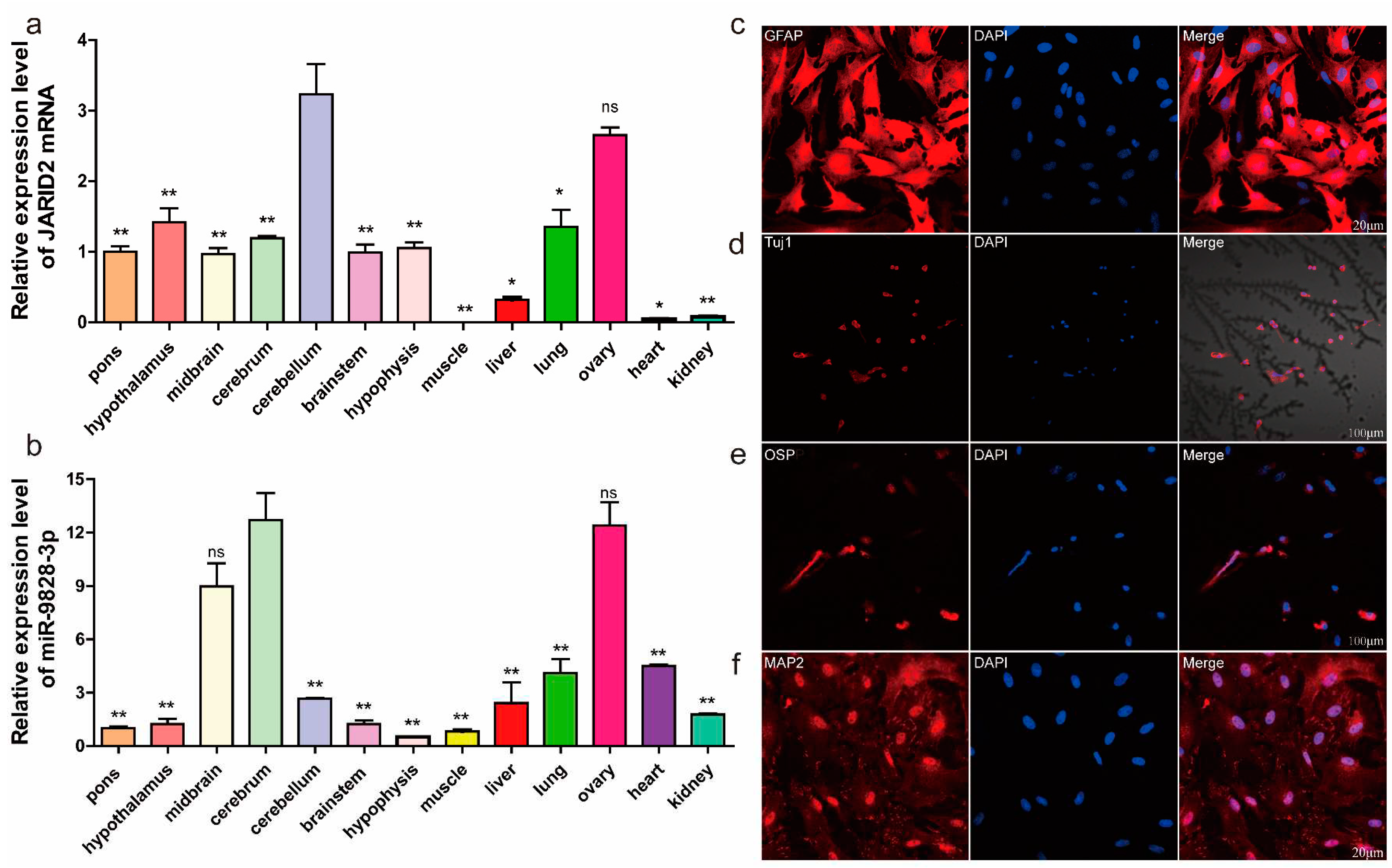 Preprints 90931 g002