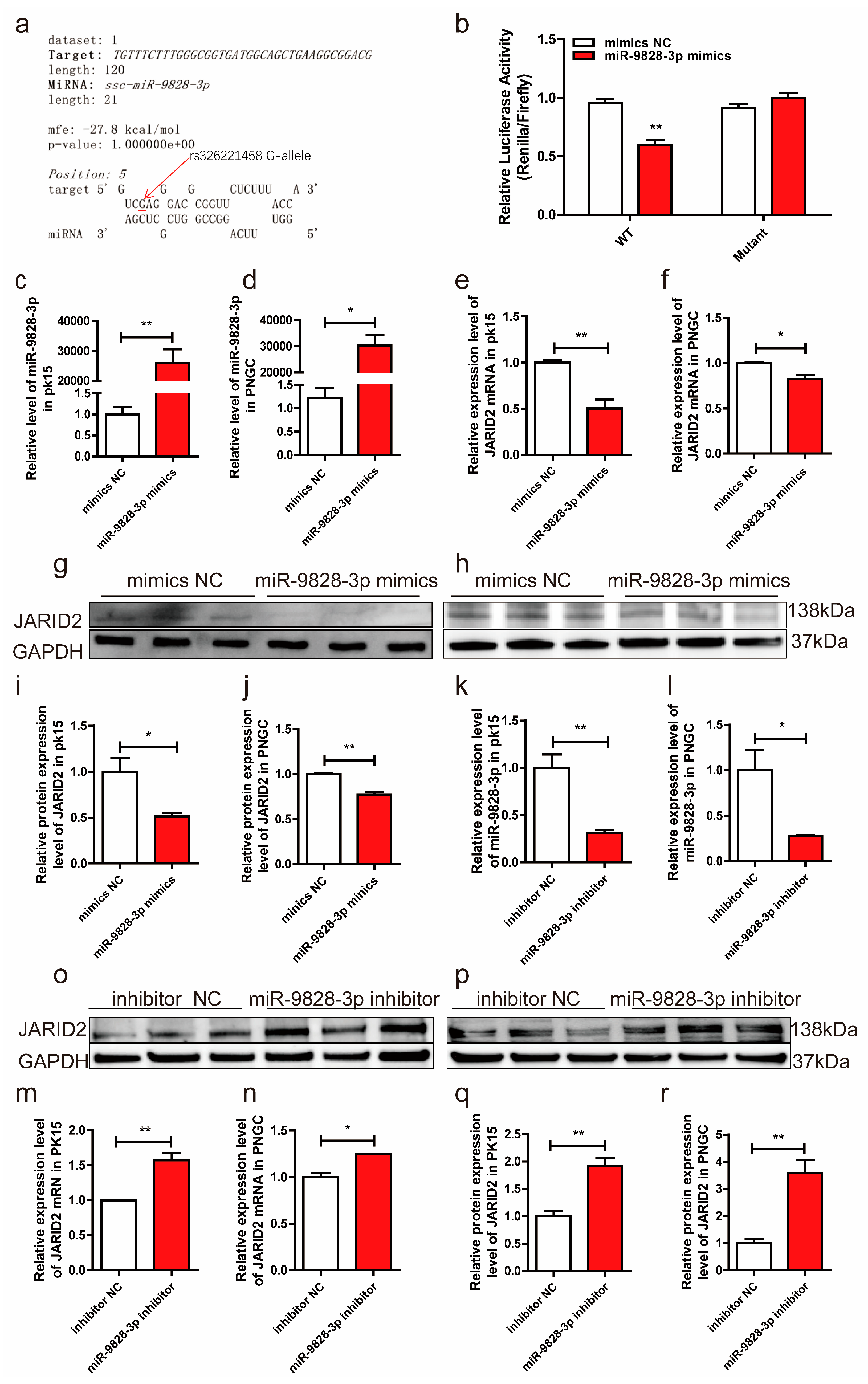 Preprints 90931 g003