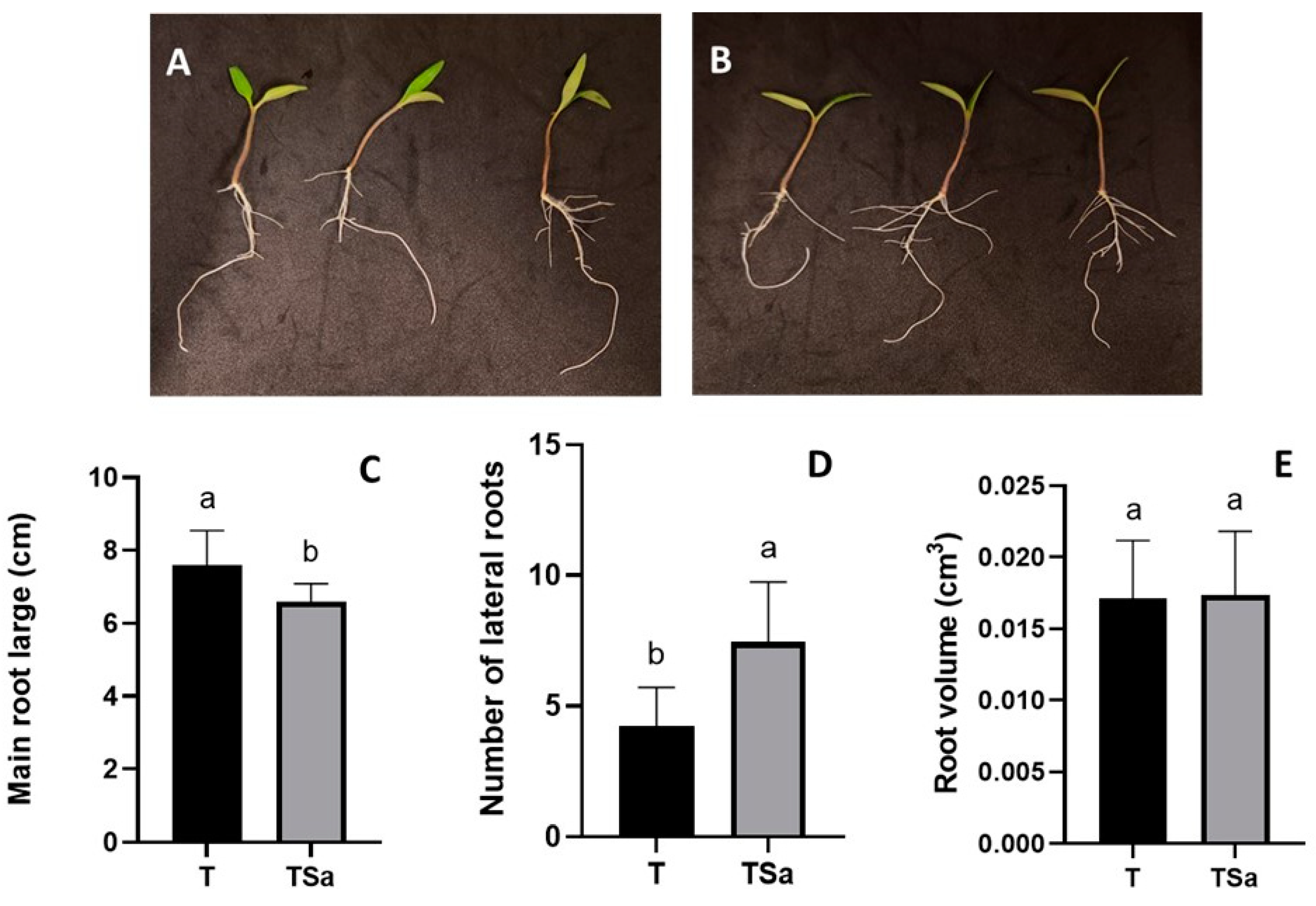 Preprints 97708 g002