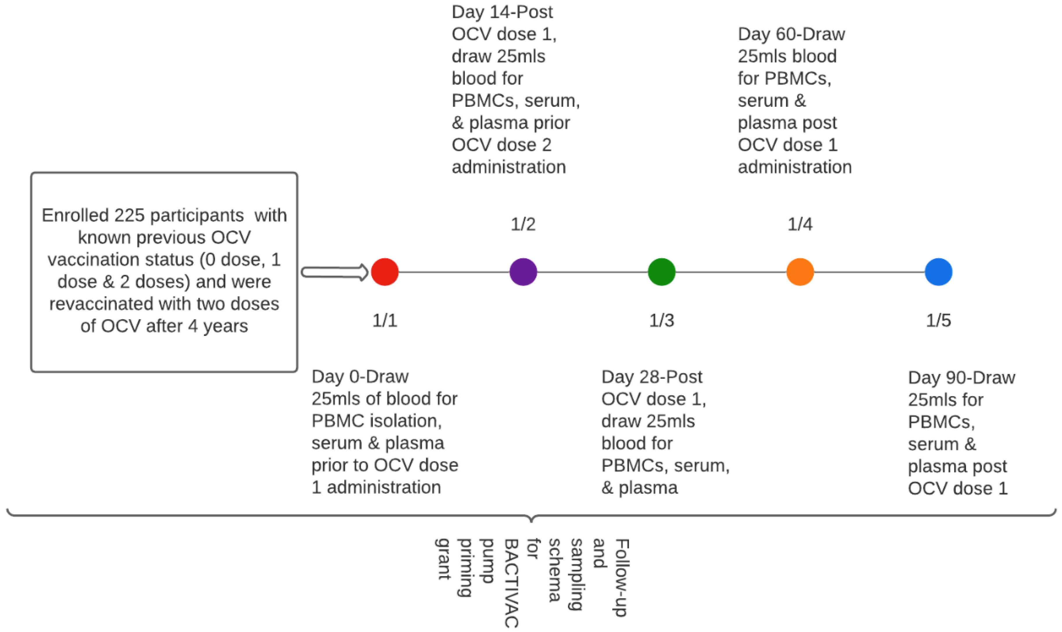 Preprints 98580 g001