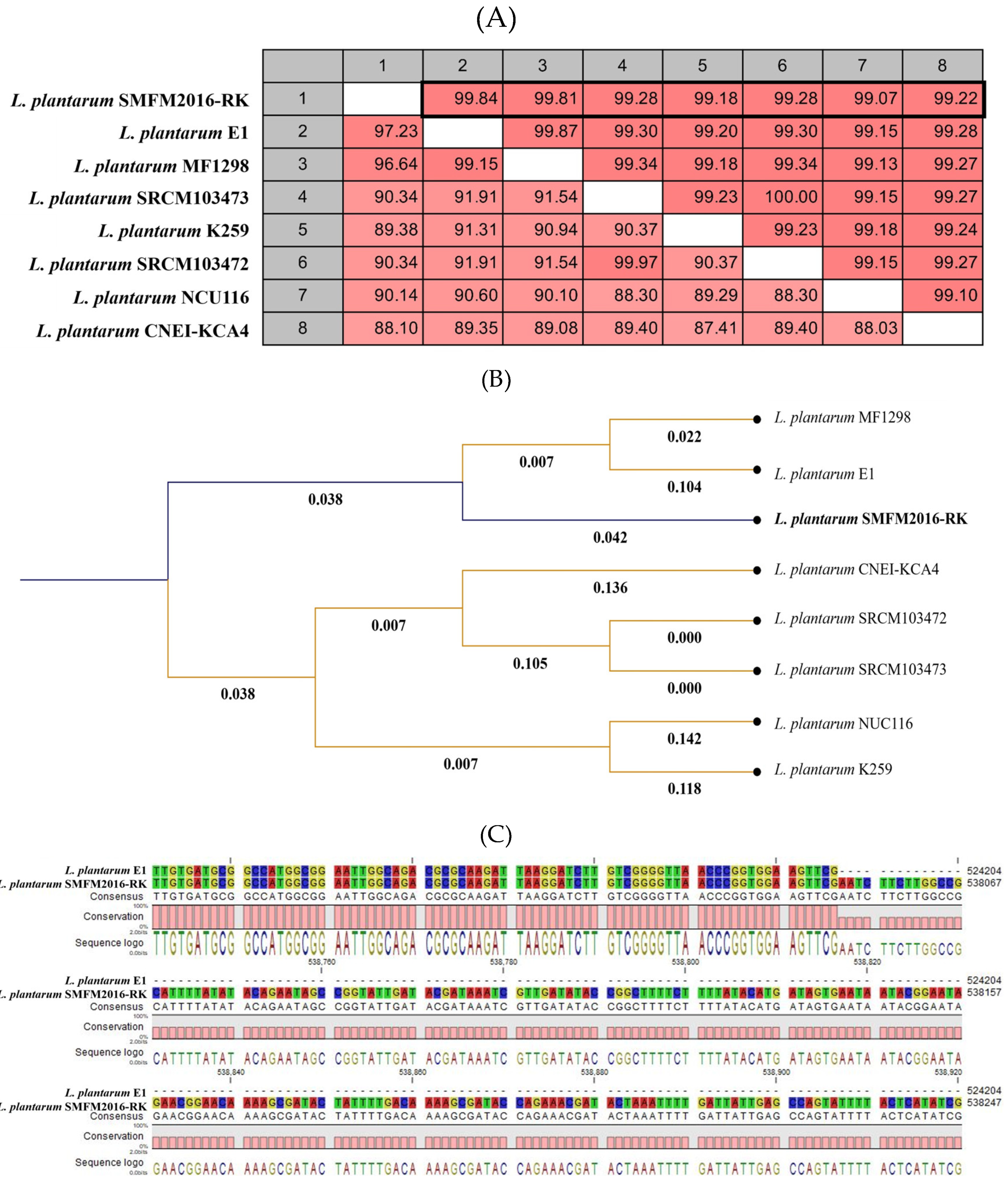 Preprints 107642 g005