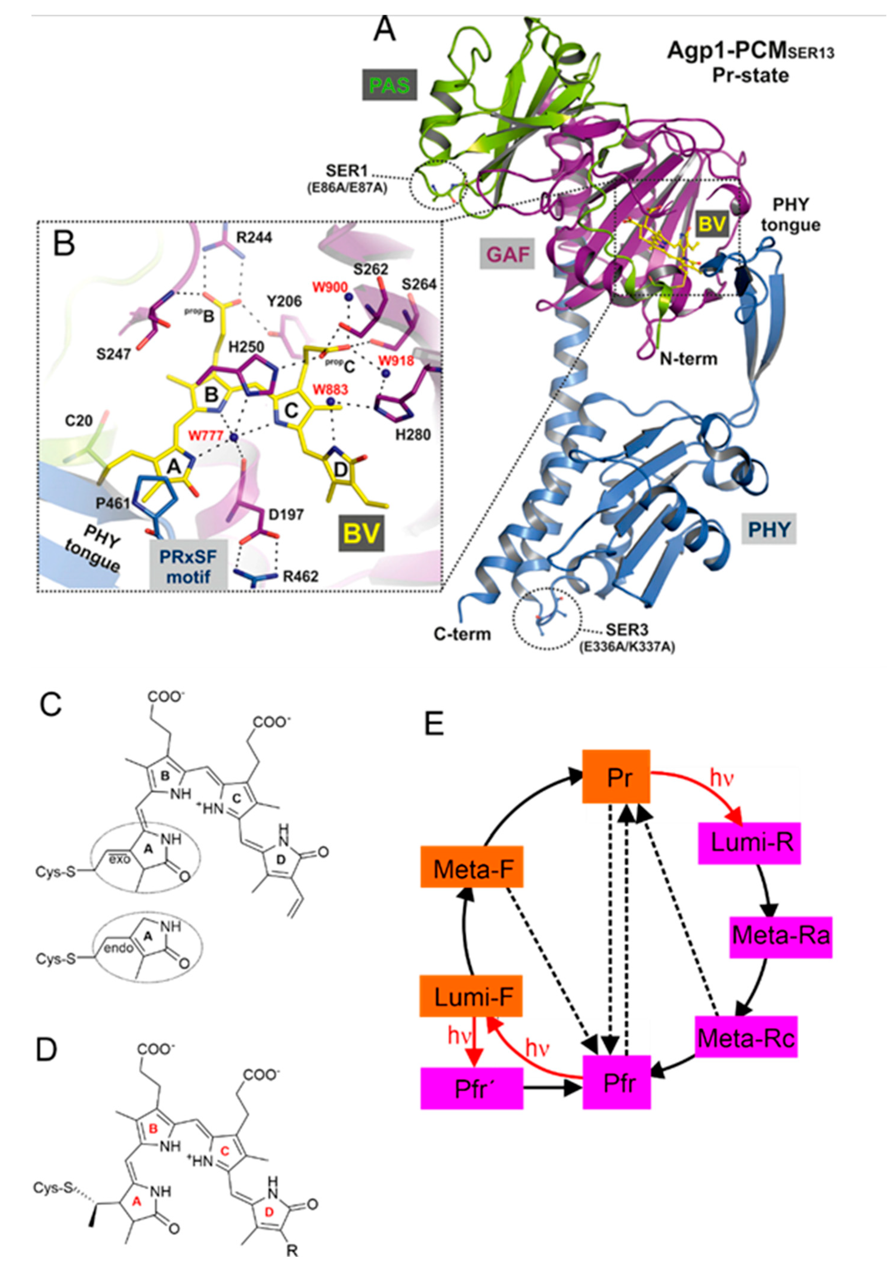 Preprints 75369 g001