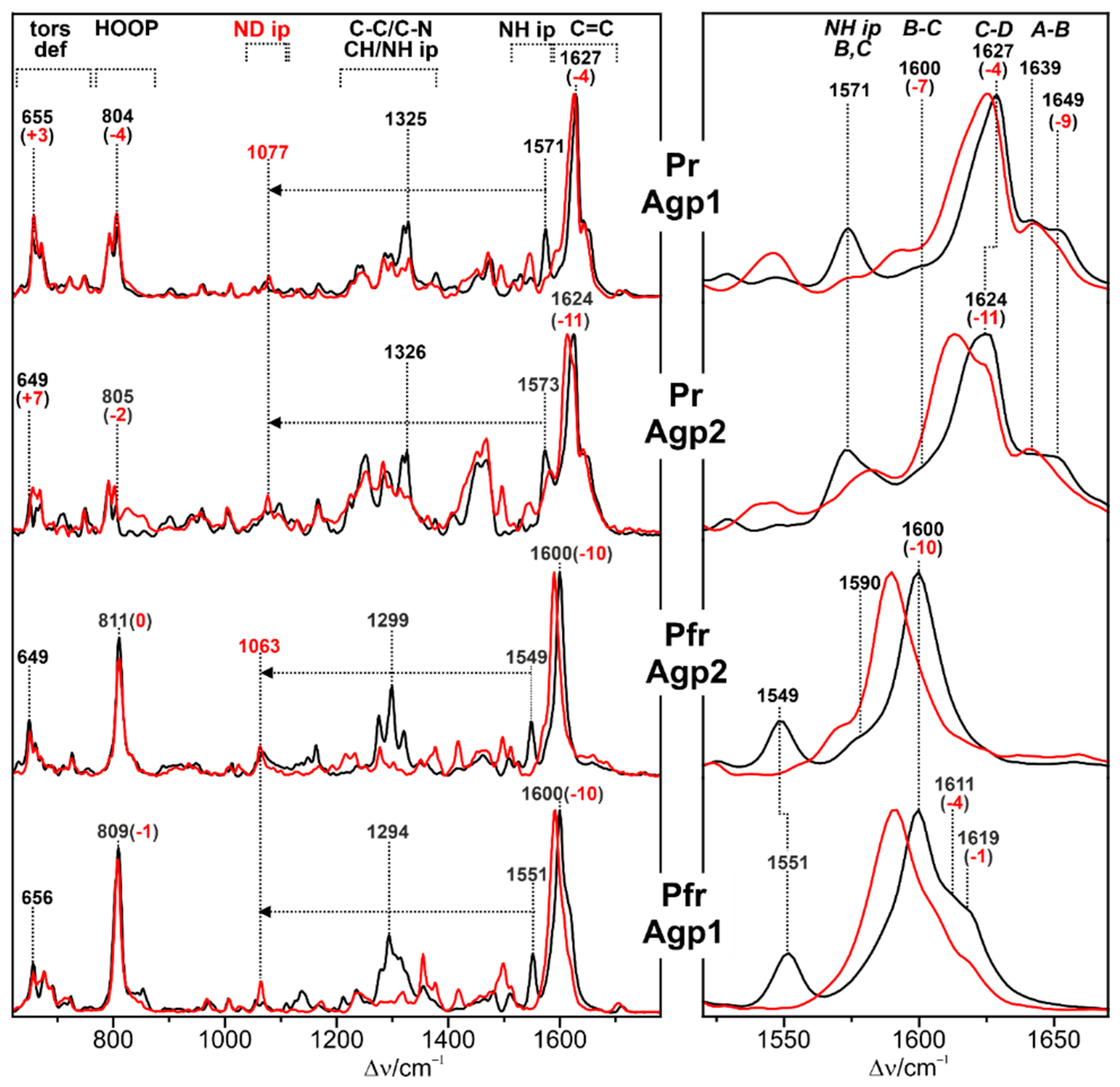 Preprints 75369 g002