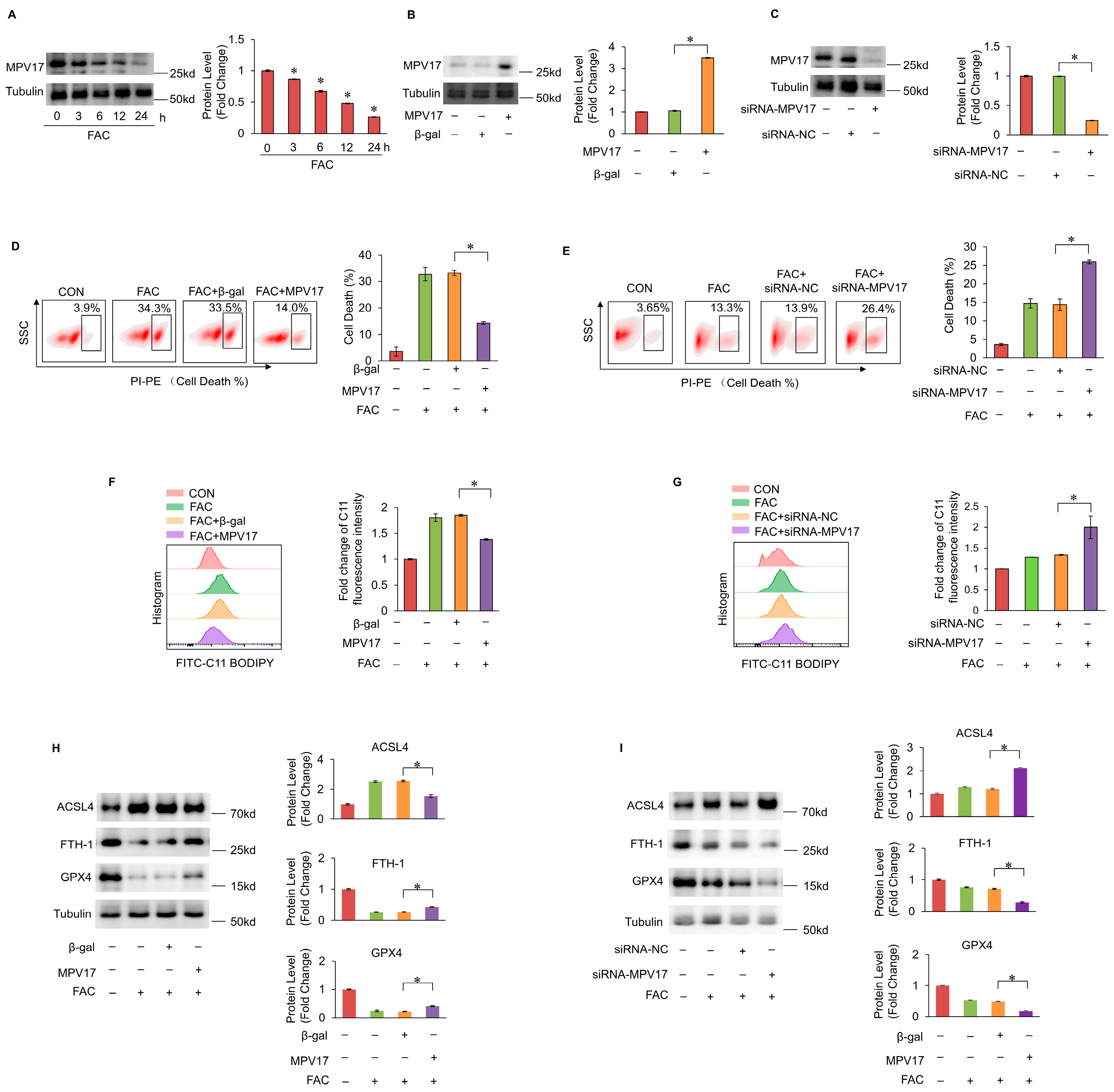 Preprints 119124 g001