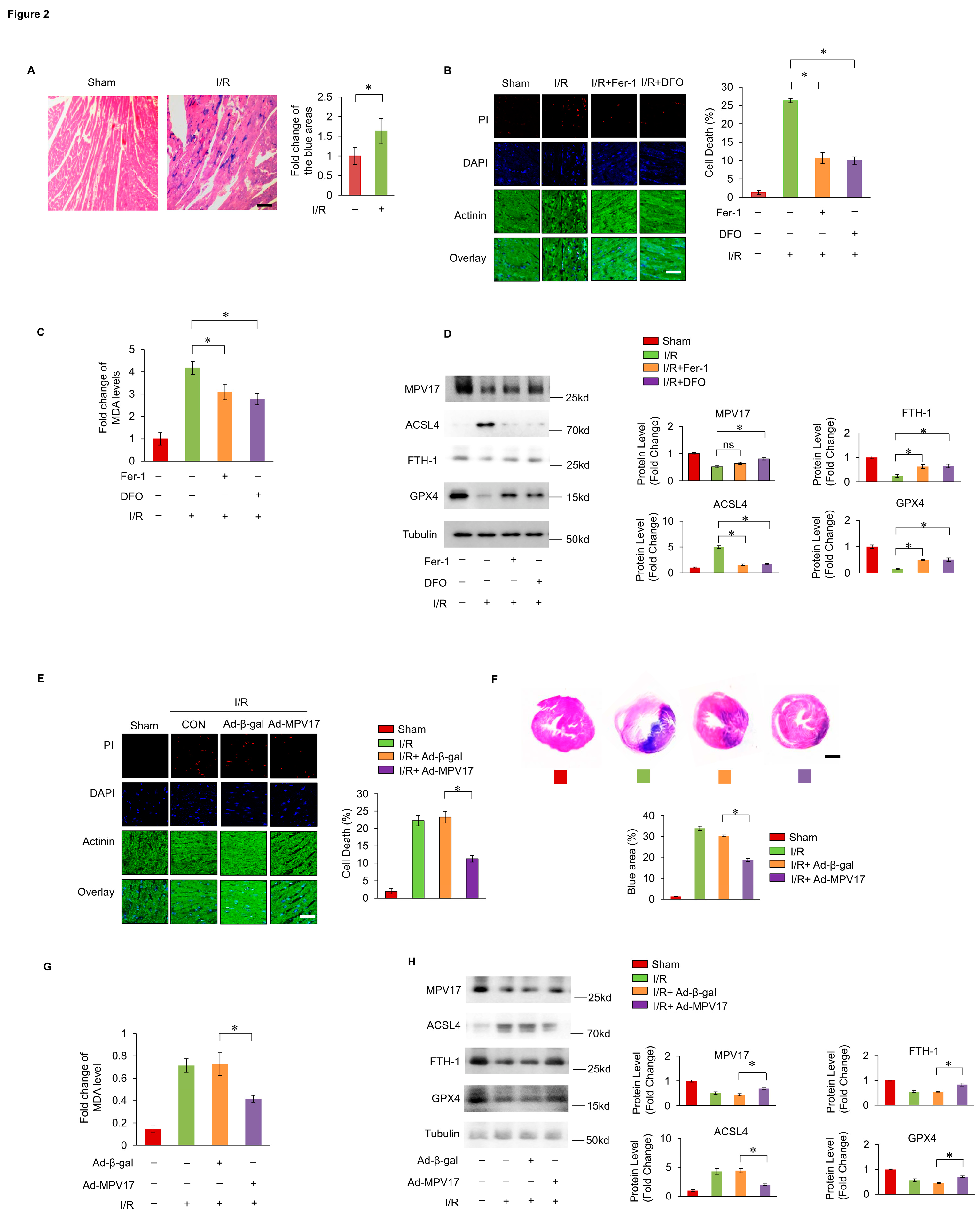 Preprints 119124 g002