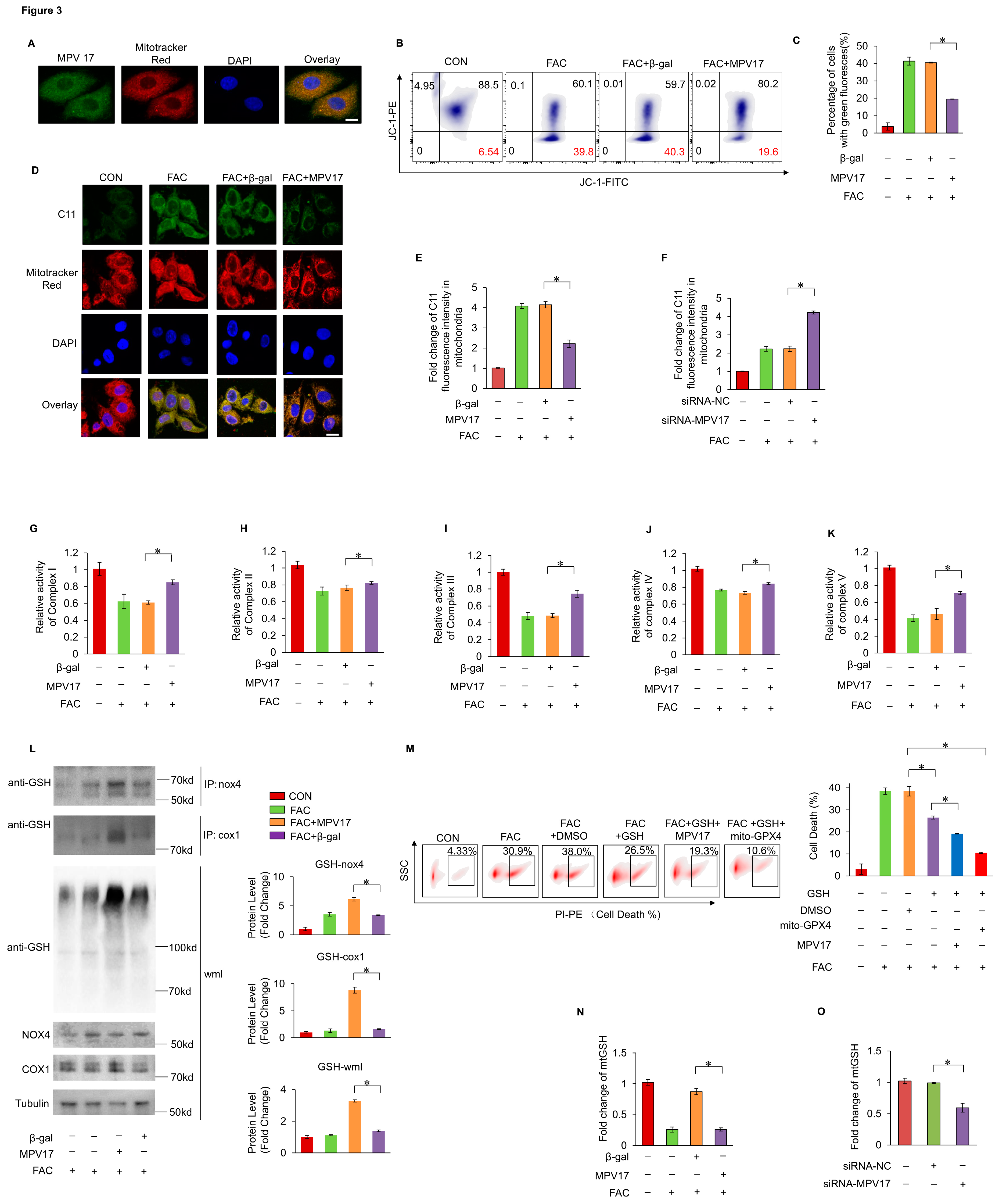 Preprints 119124 g003