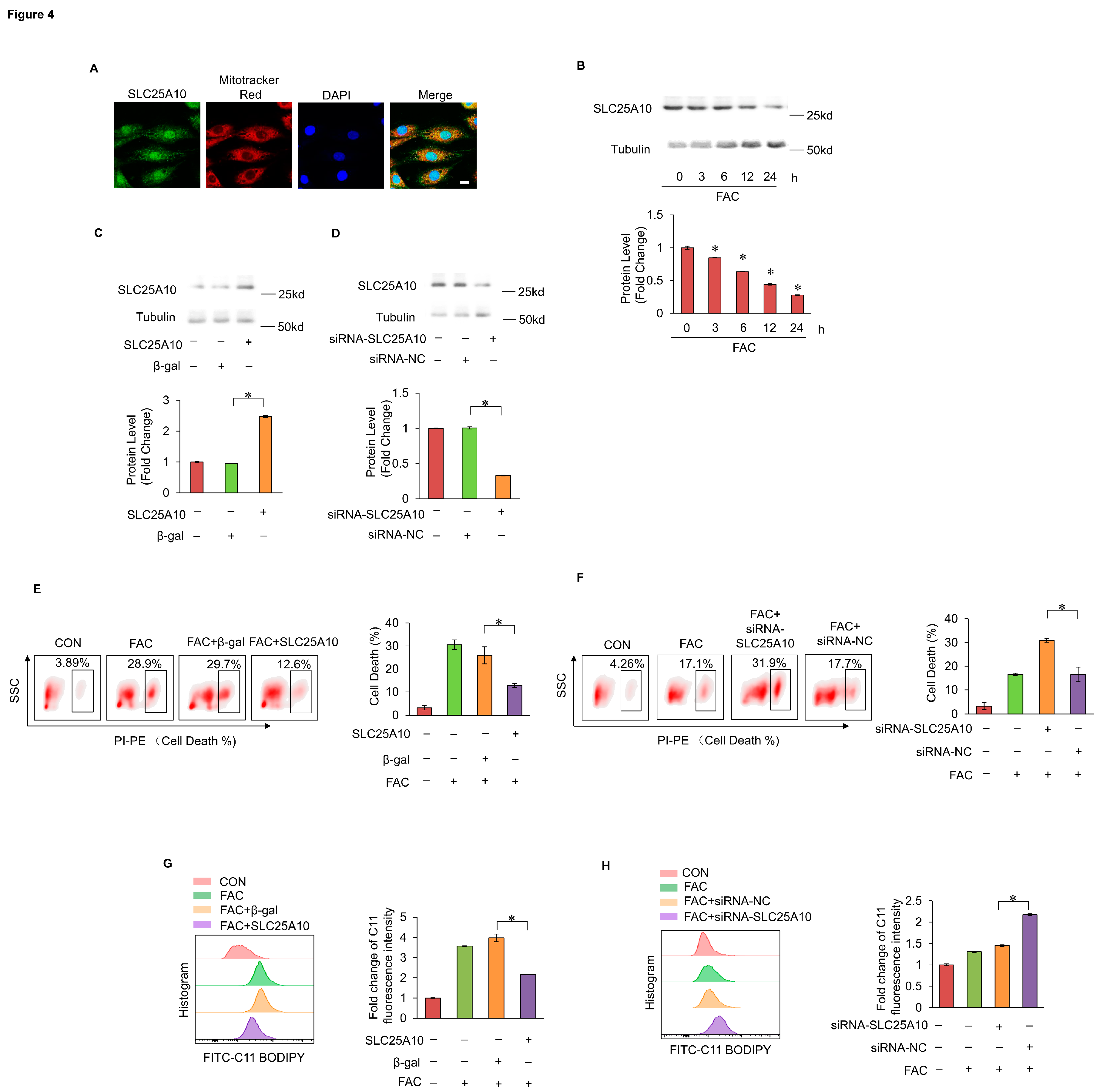 Preprints 119124 g004