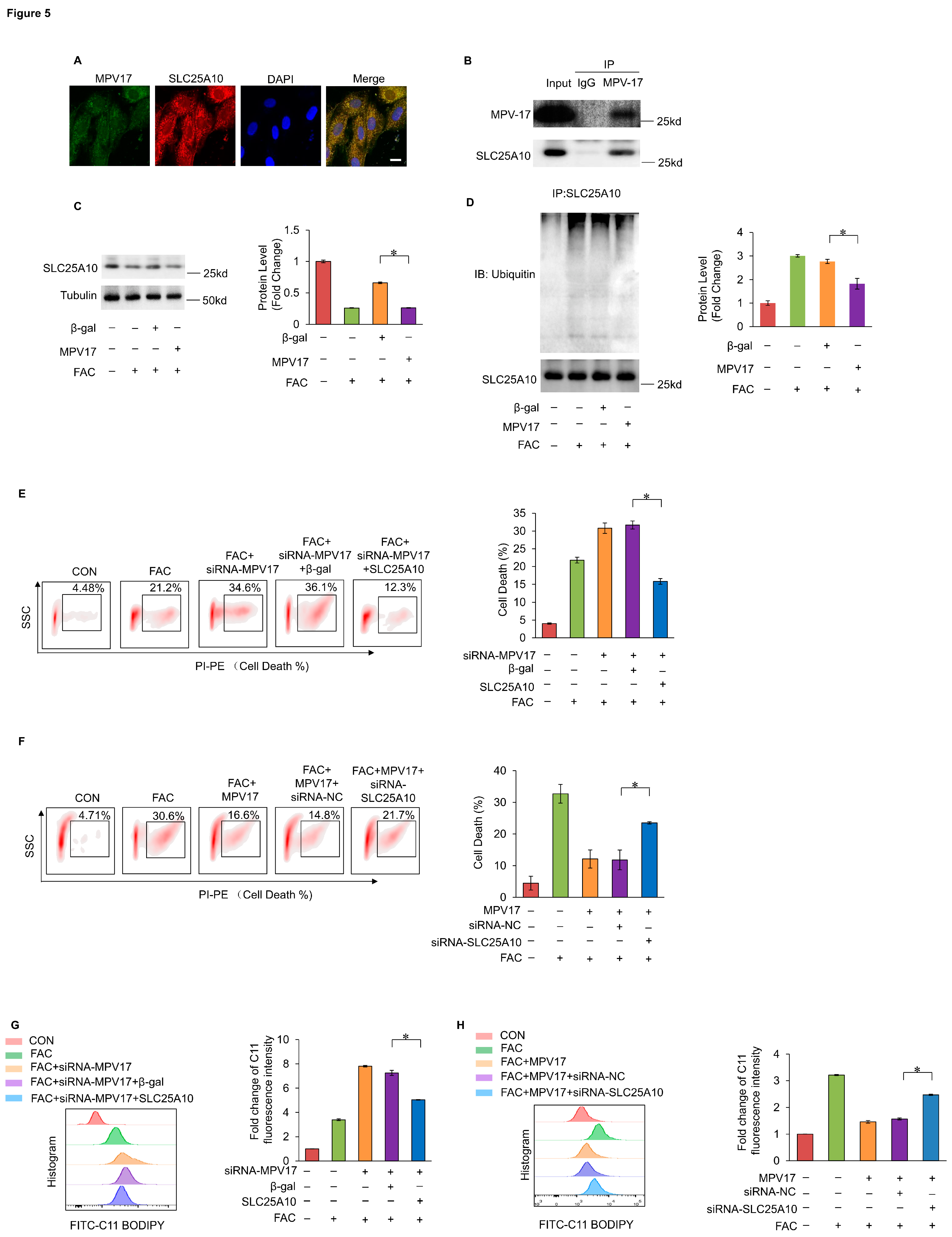 Preprints 119124 g005