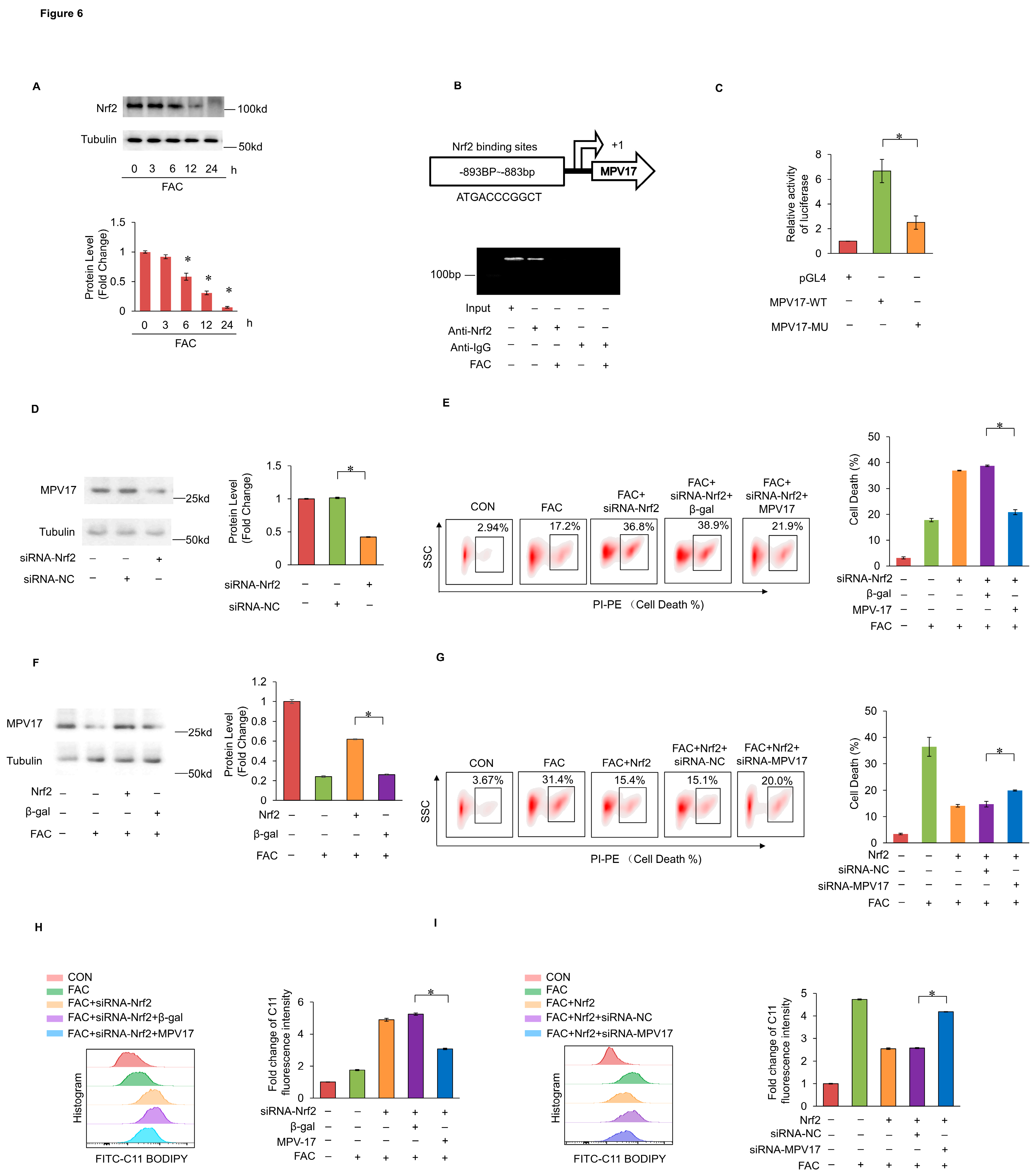 Preprints 119124 g006