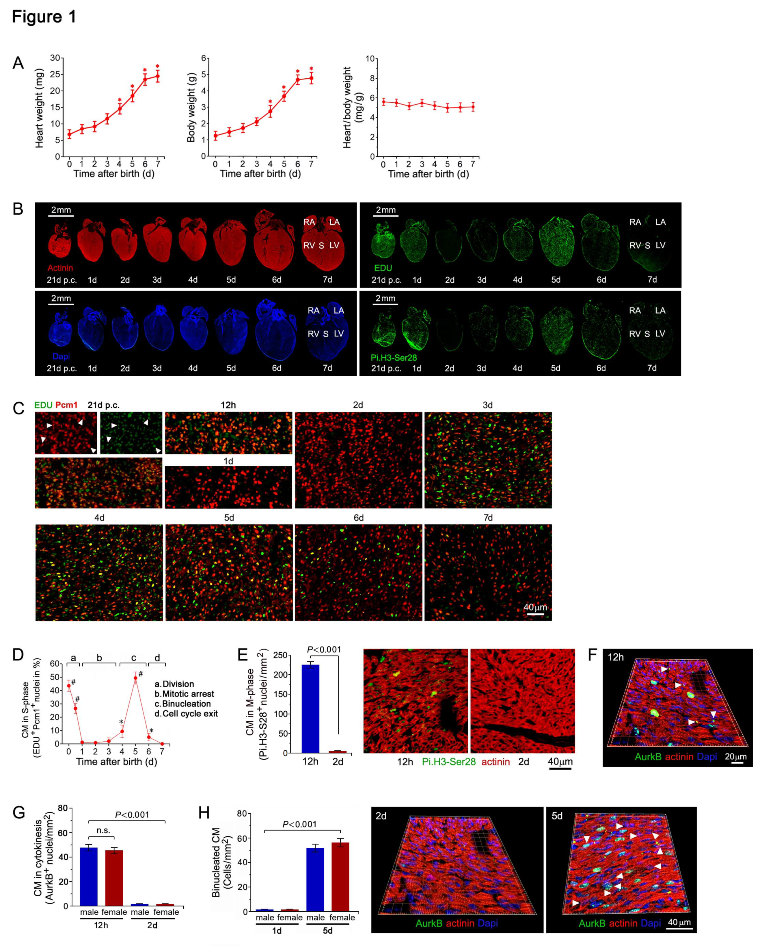 Preprints 116929 g001