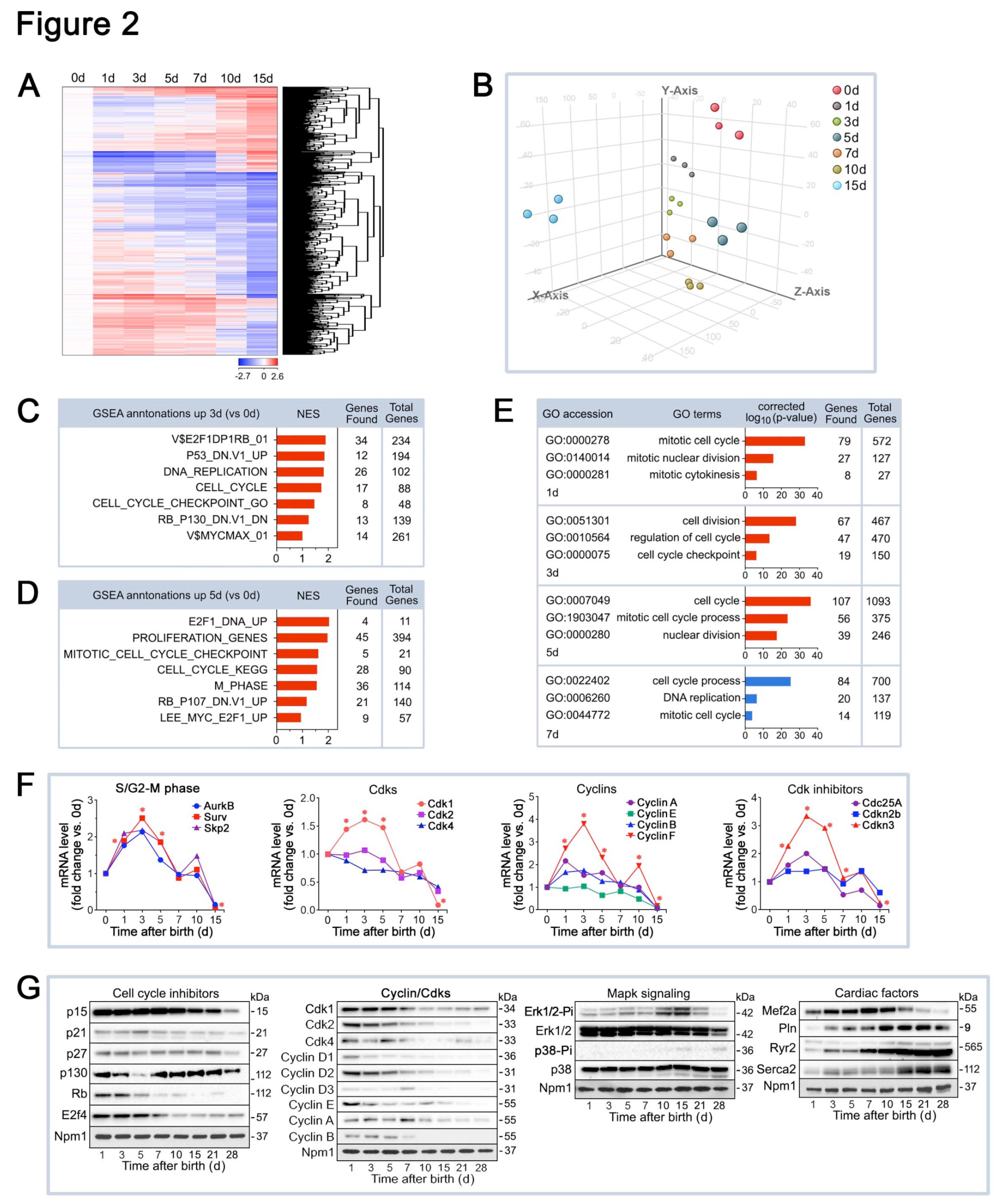 Preprints 116929 g002