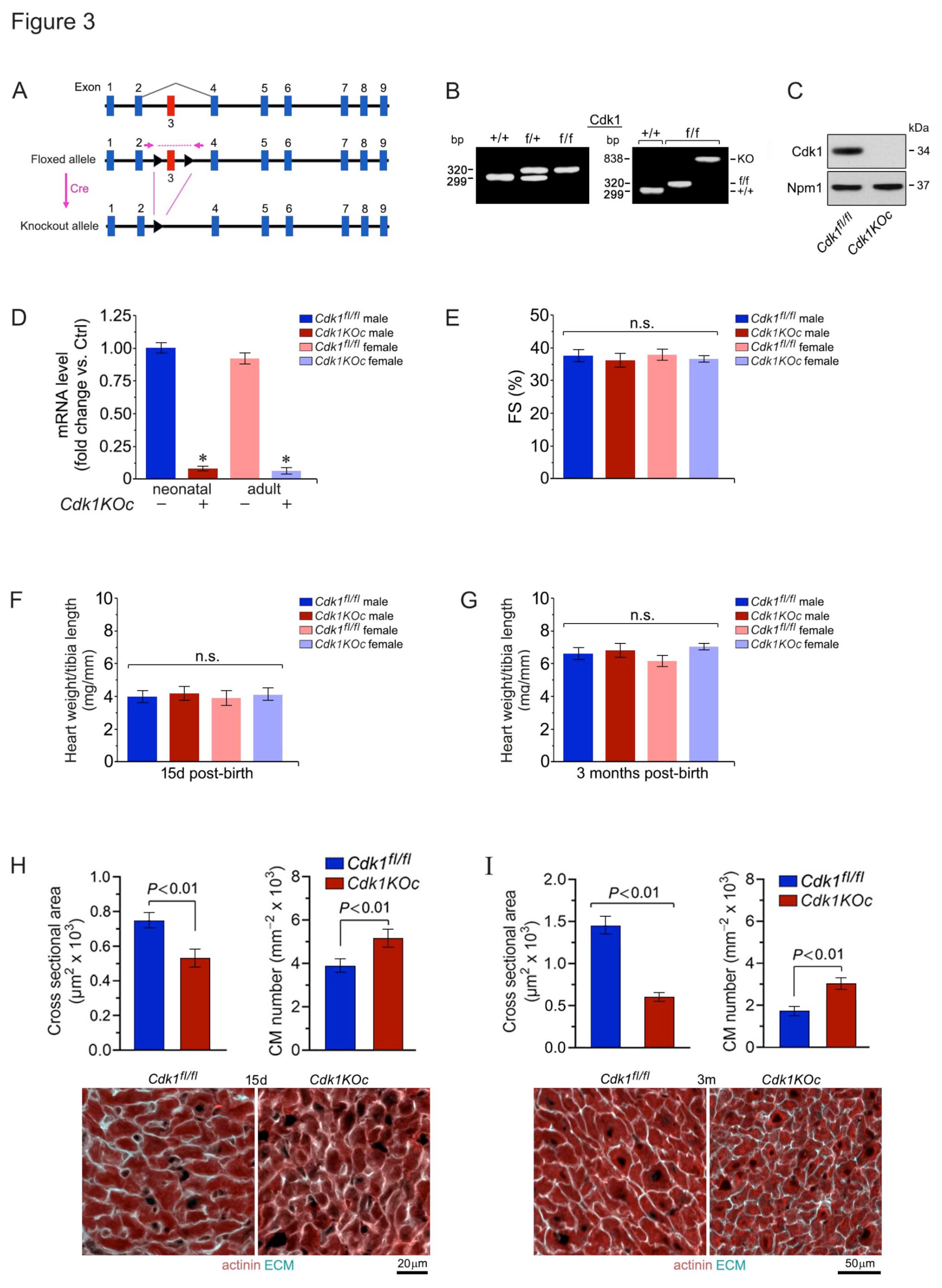 Preprints 116929 g003