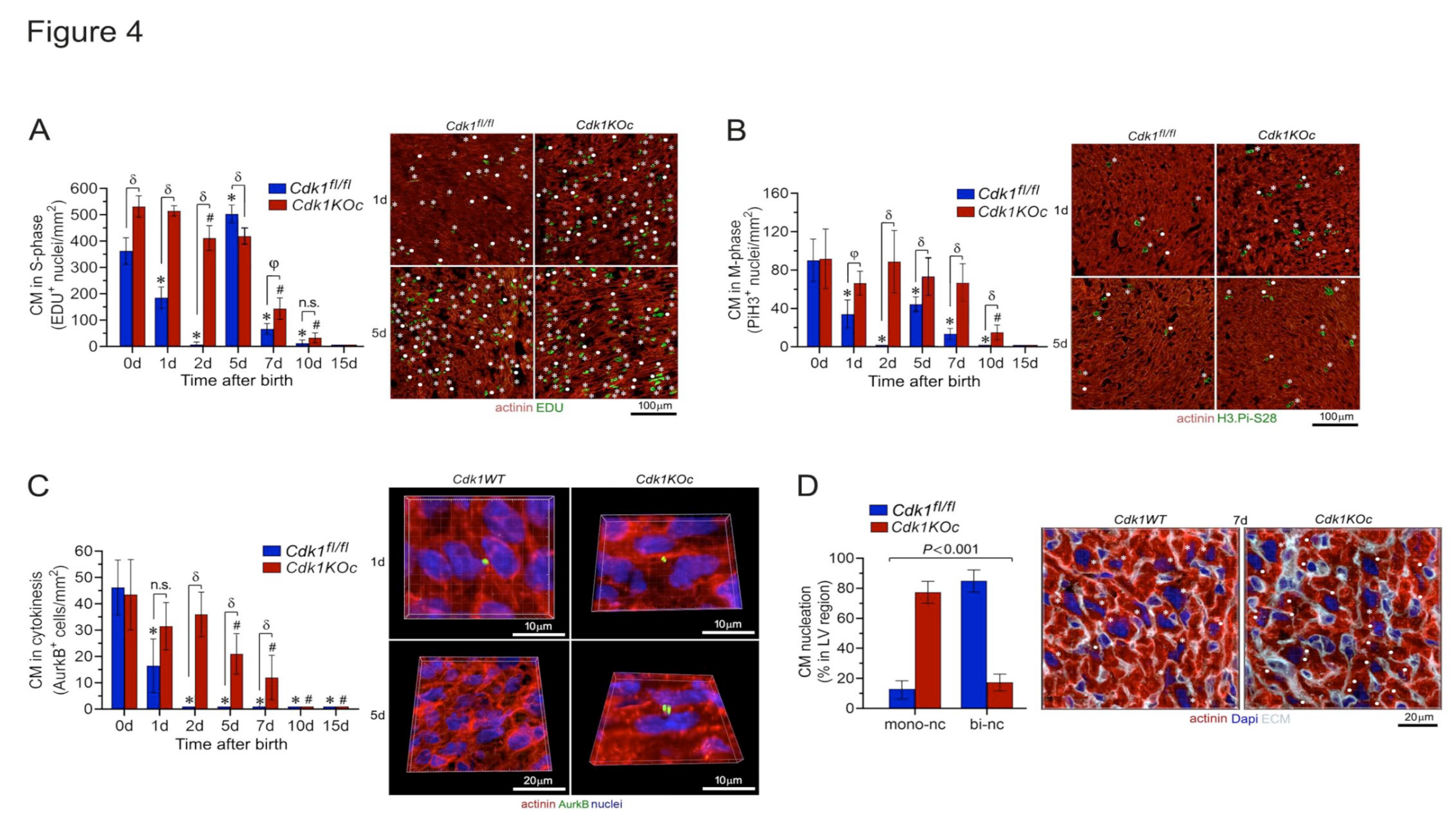 Preprints 116929 g004