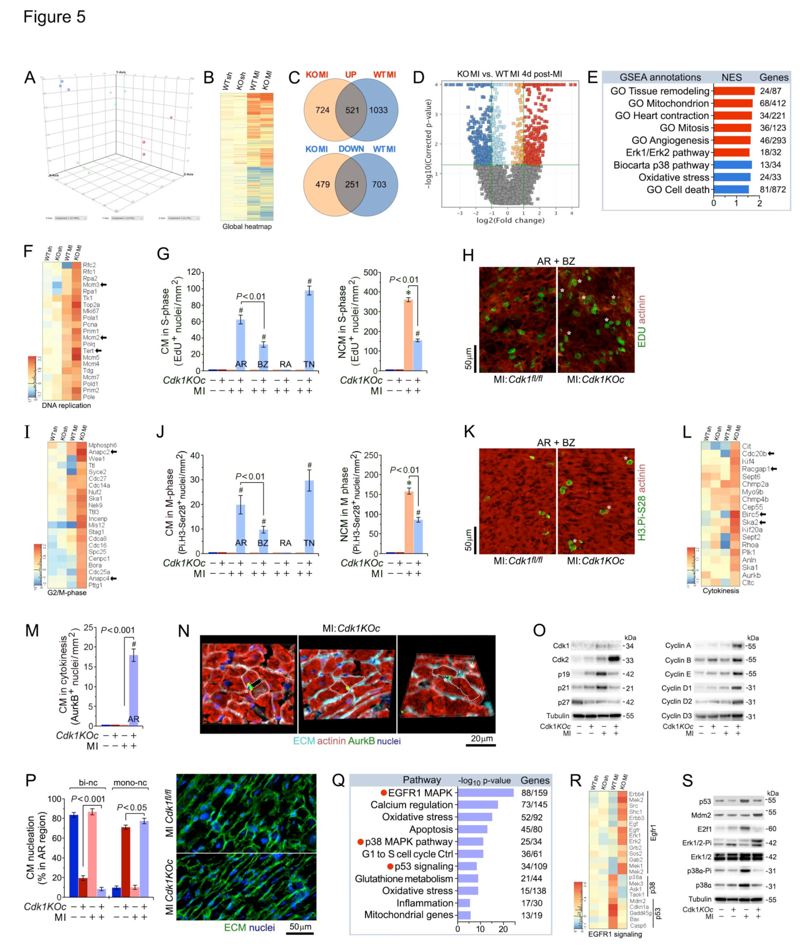 Preprints 116929 g005