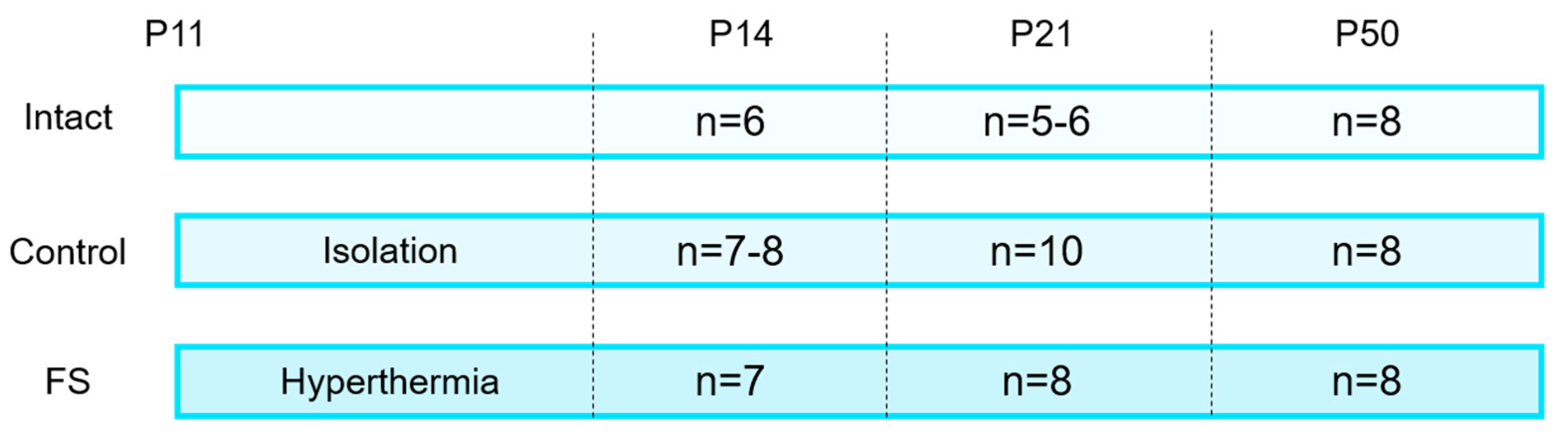 Preprints 116535 g008