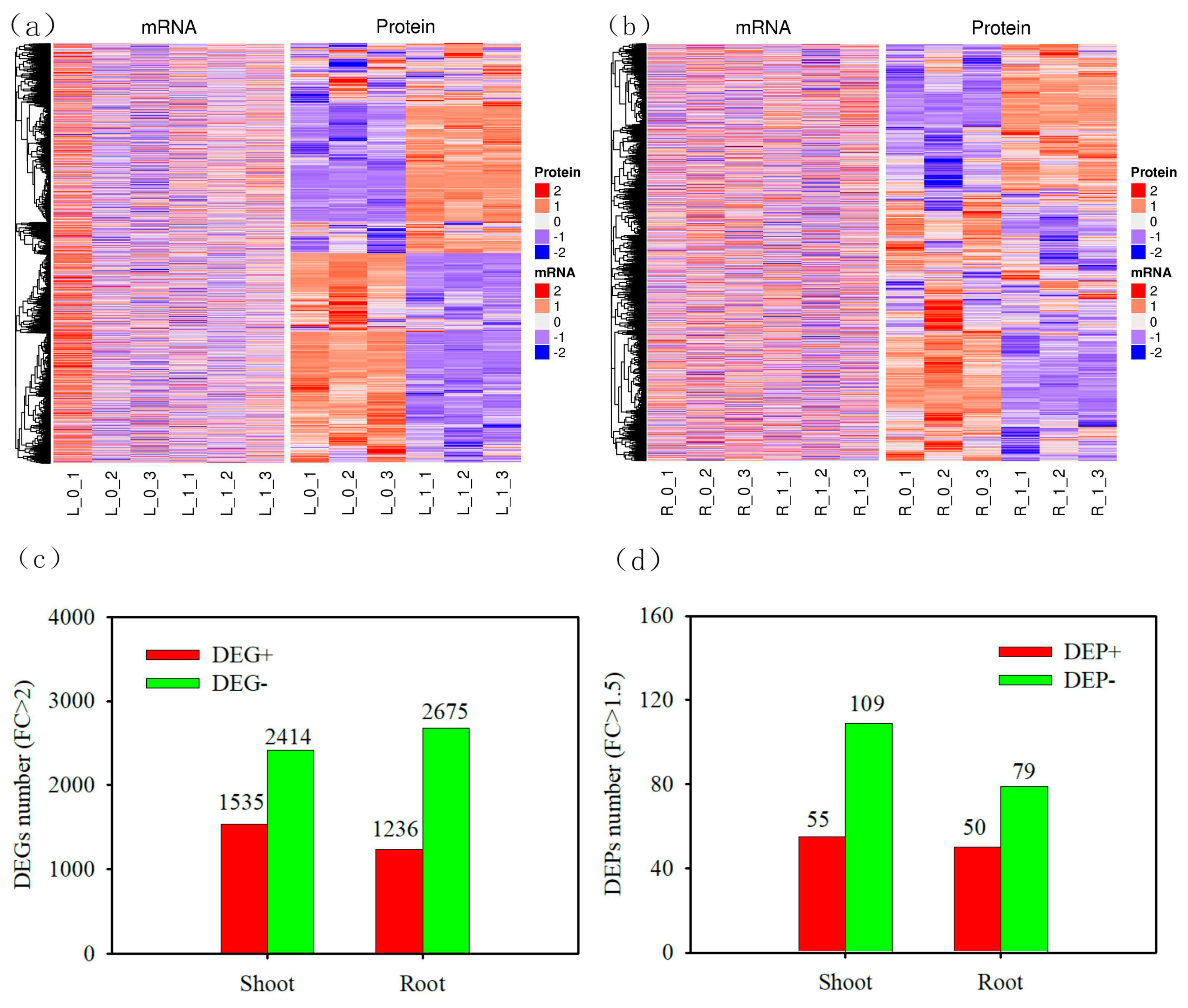 Preprints 93889 g002