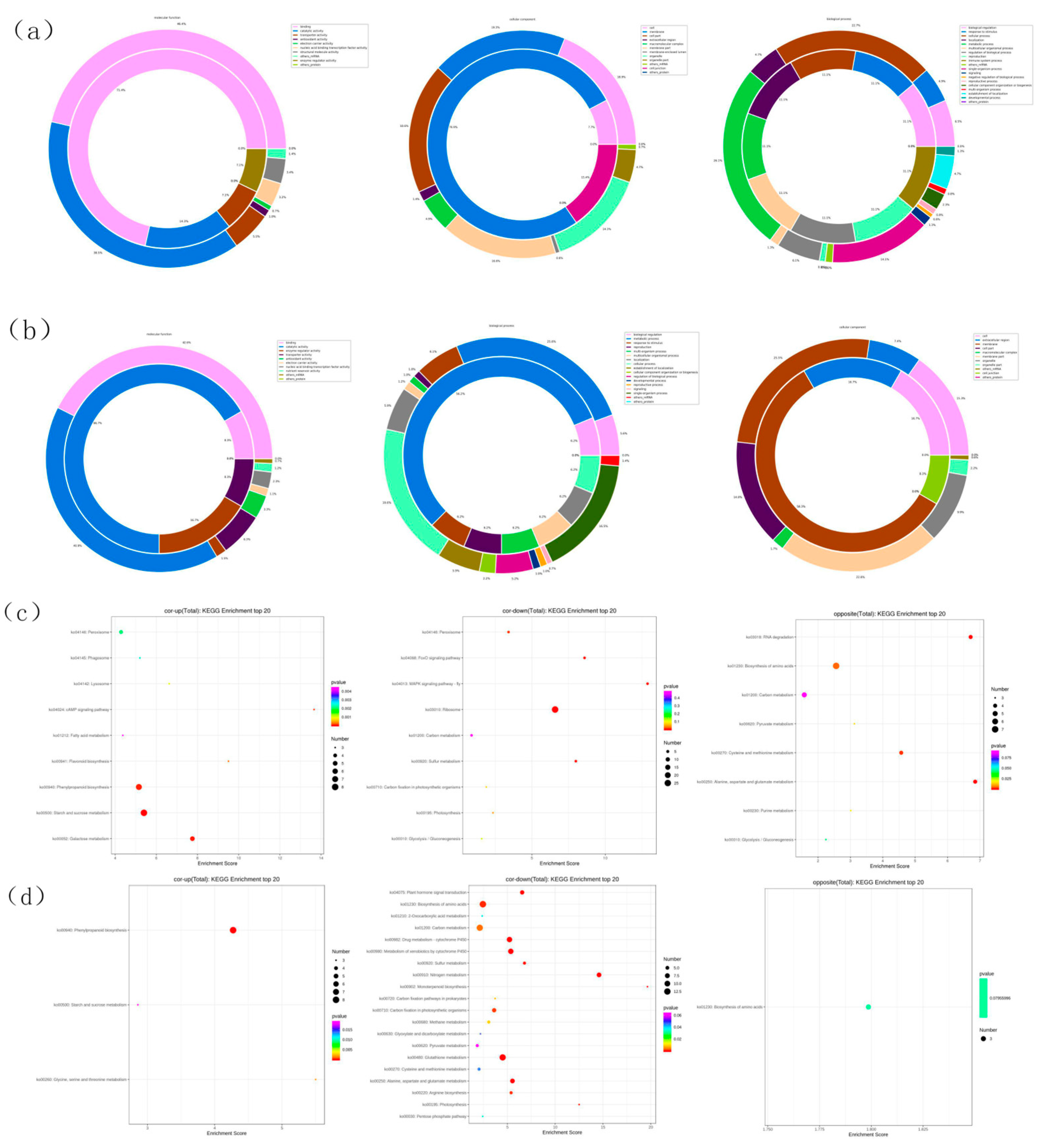 Preprints 93889 g004