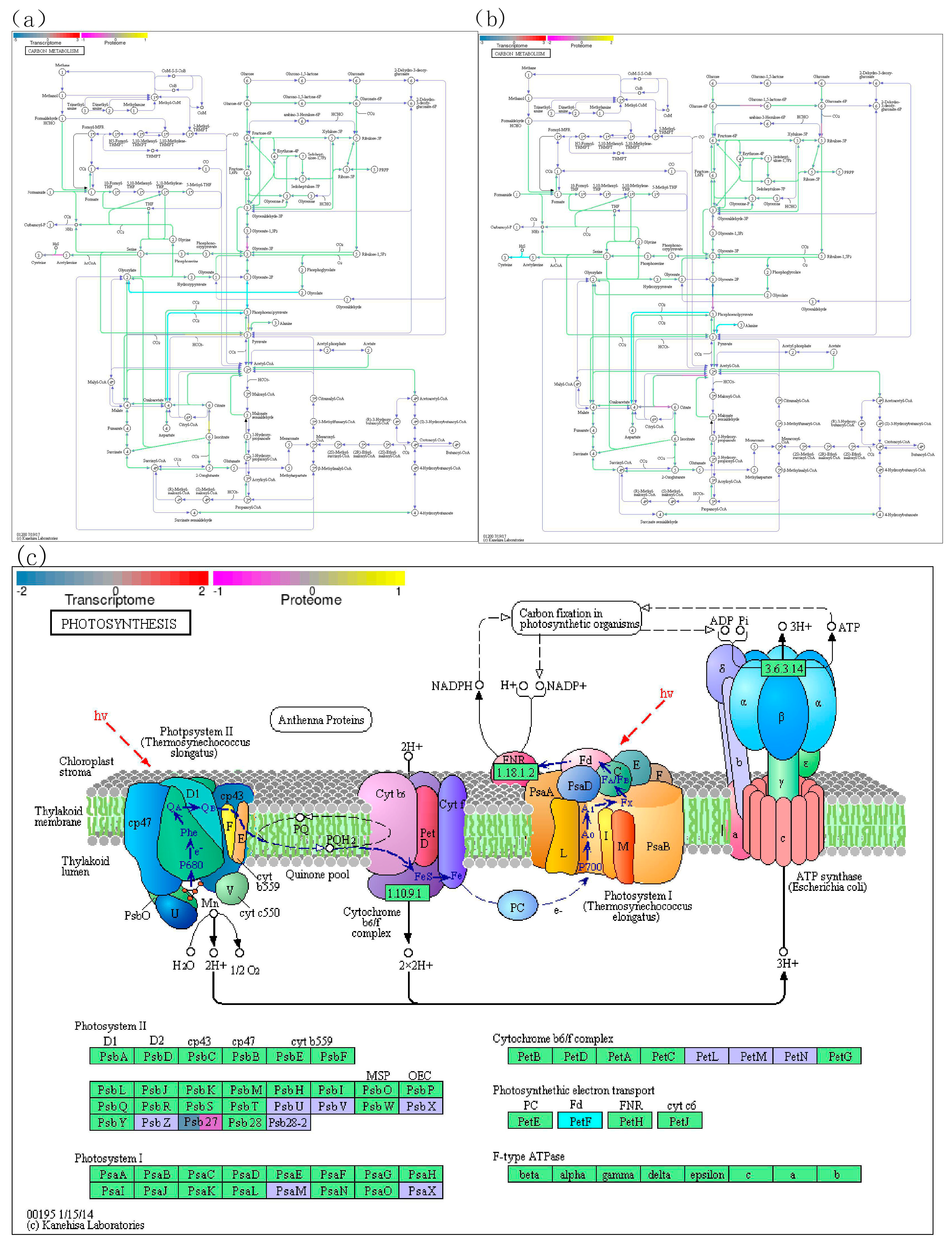 Preprints 93889 g005