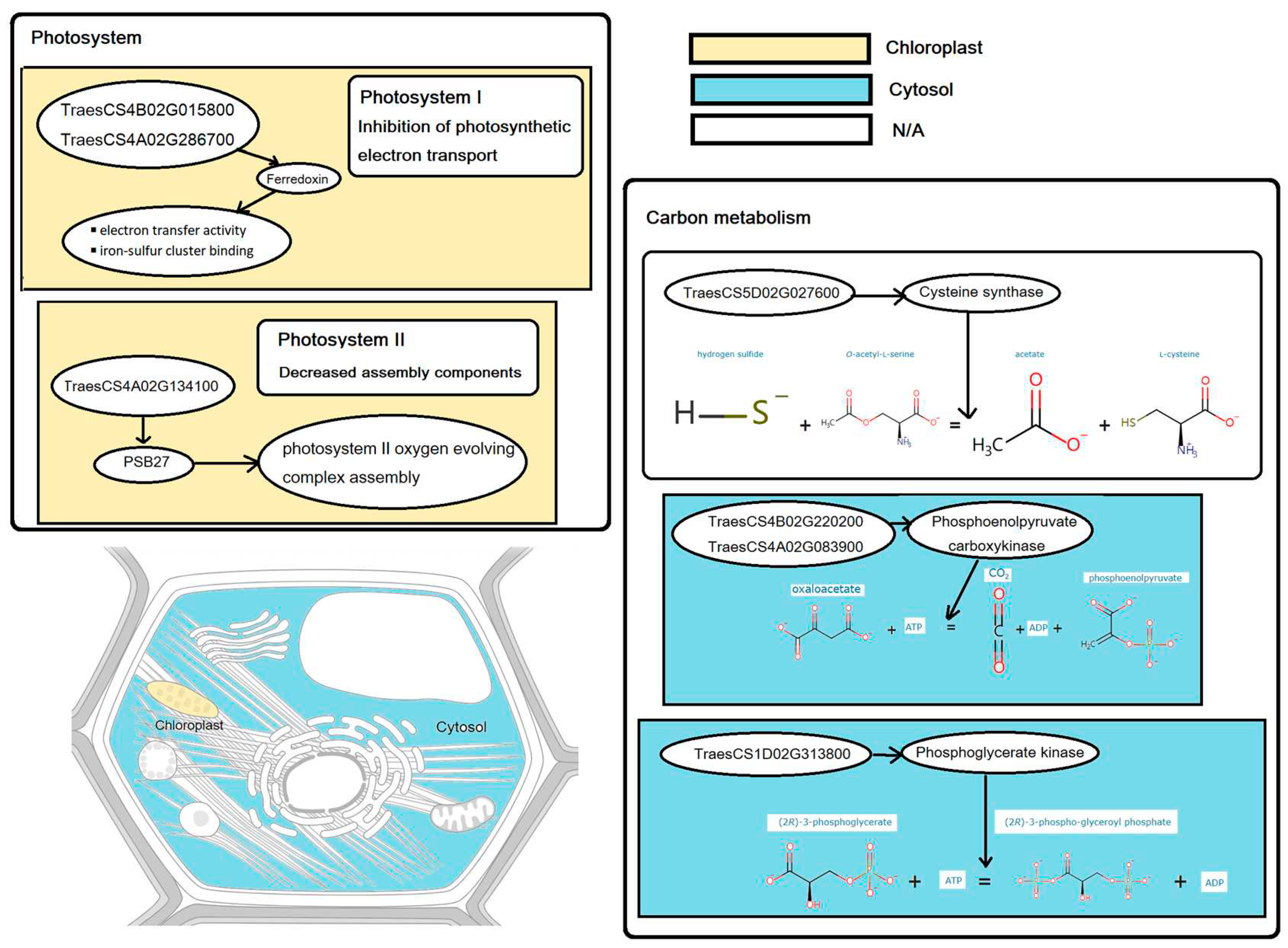 Preprints 93889 g006