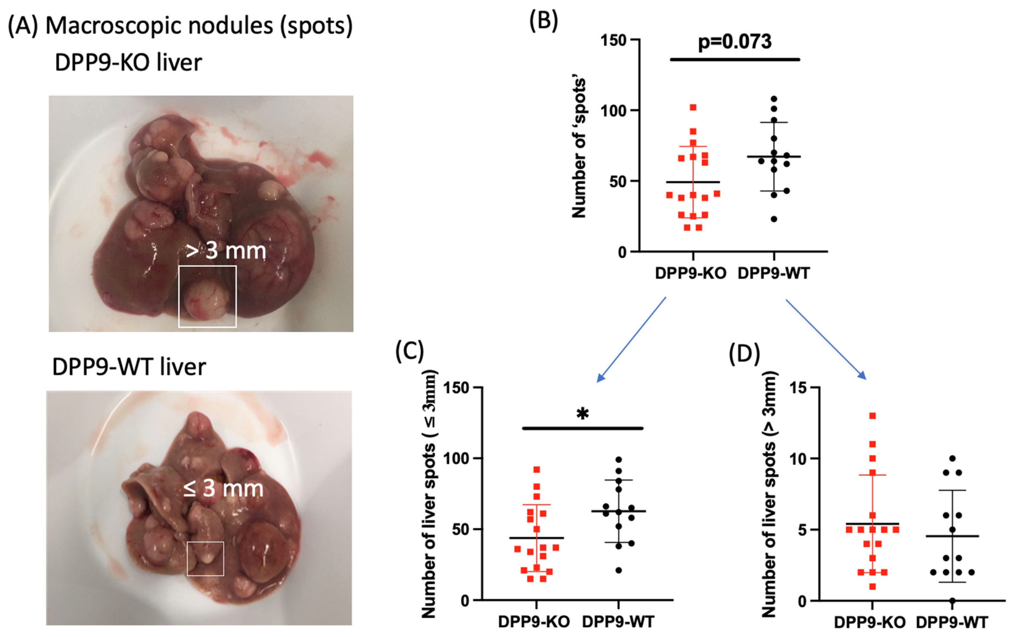 Preprints 102505 g006