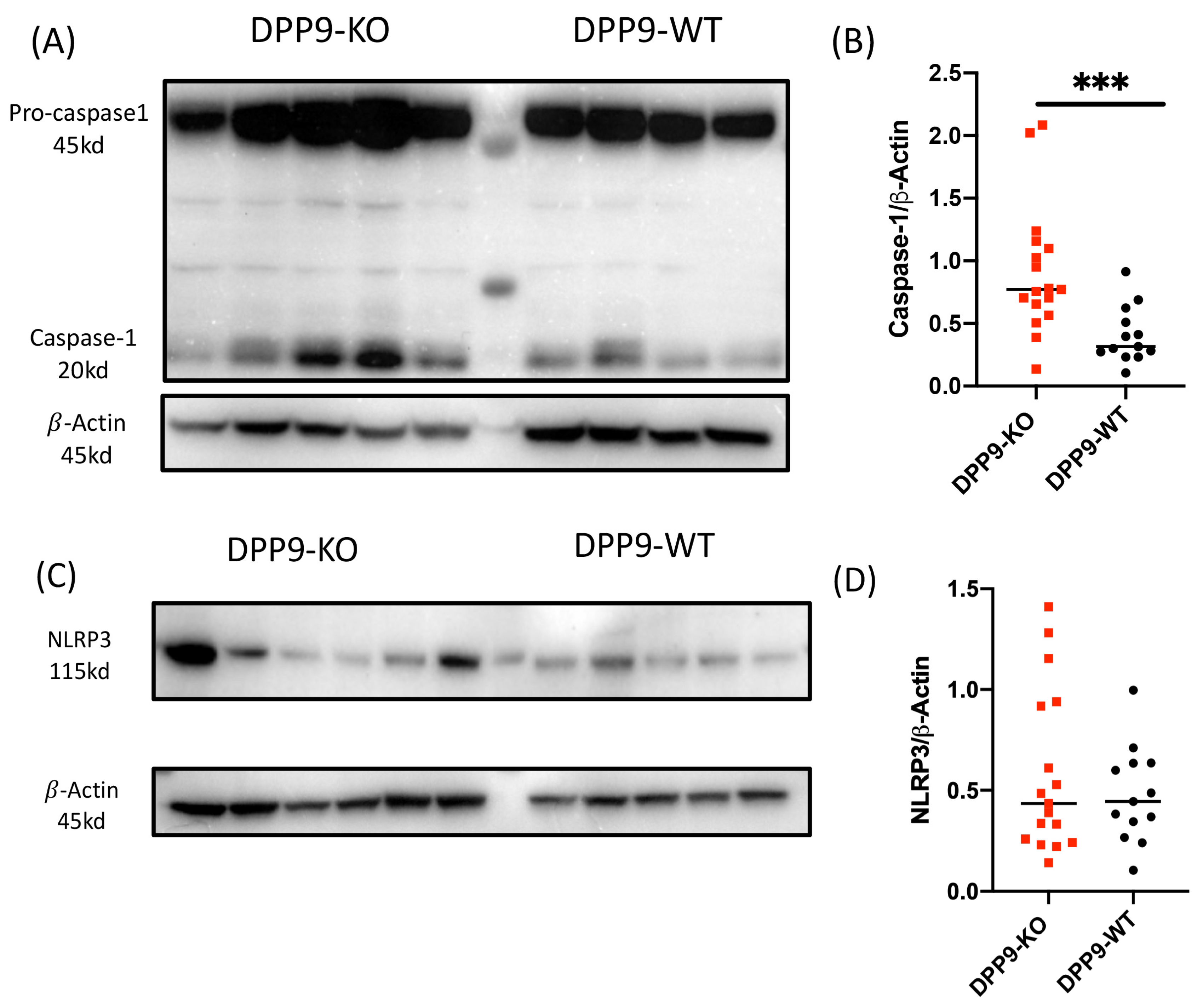 Preprints 102505 g010