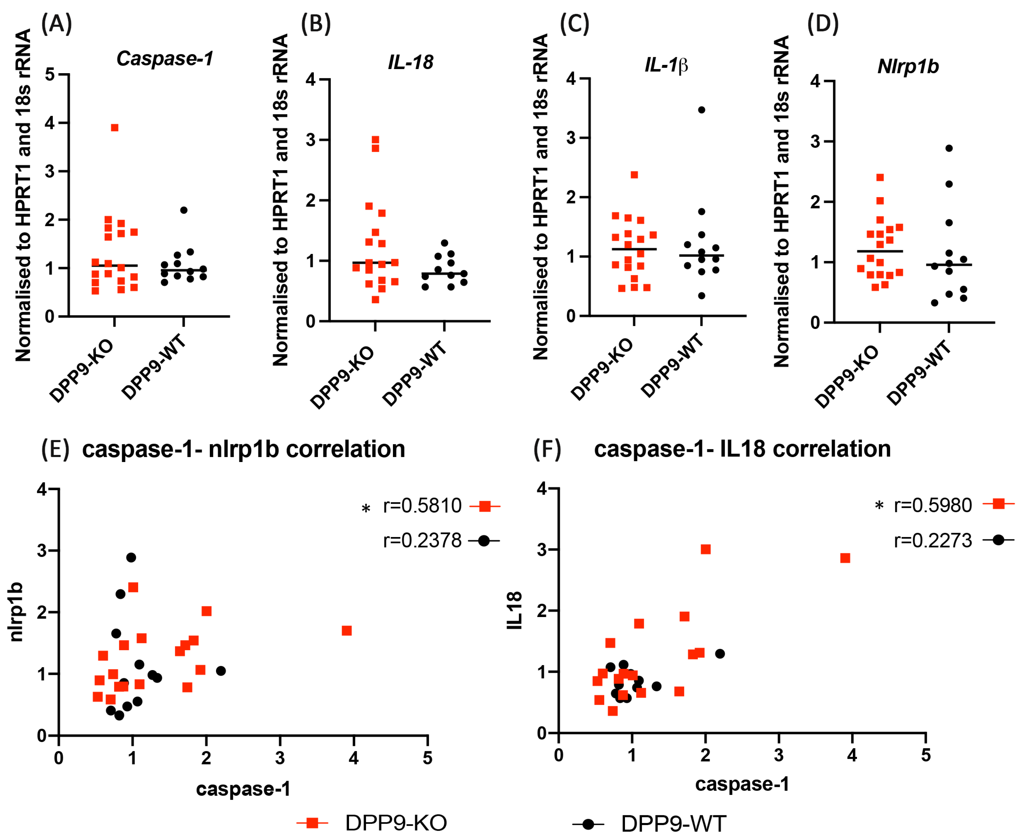 Preprints 102505 g011