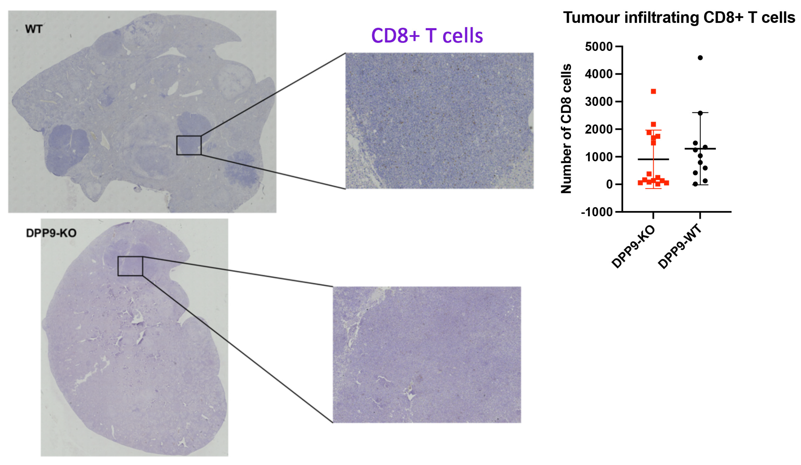 Preprints 102505 g014